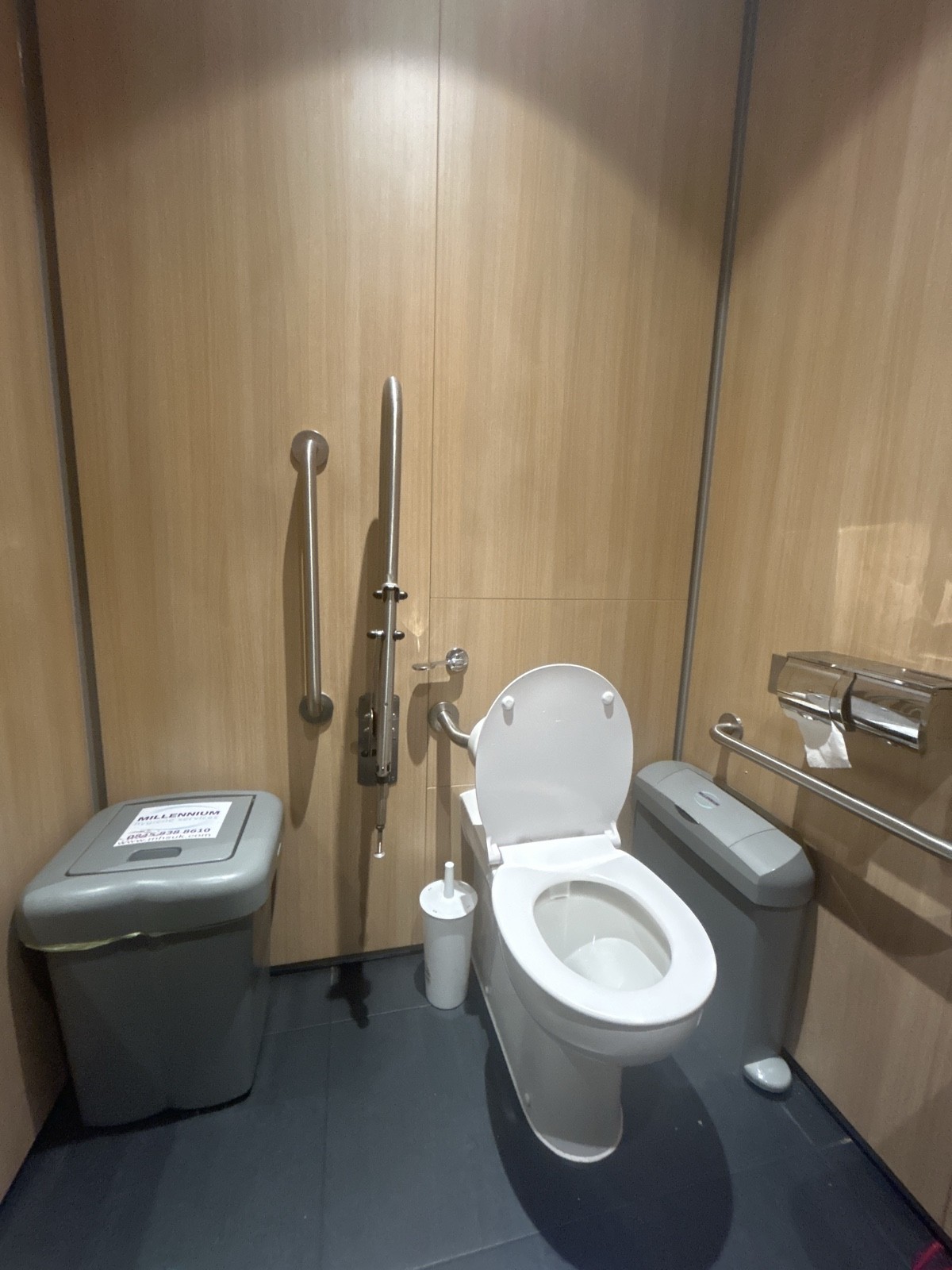 Toilet with Grab rail on the left and right