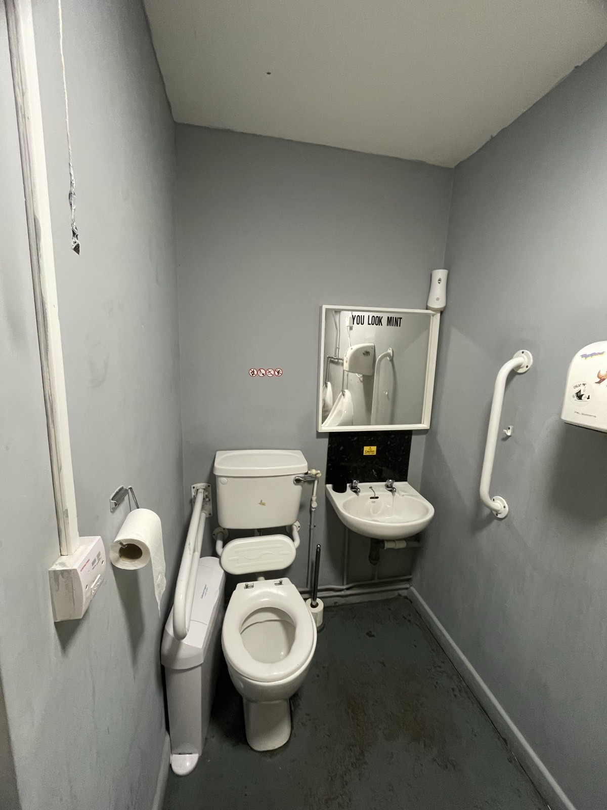 Average height toilet, dropped down bar to right, sink on left