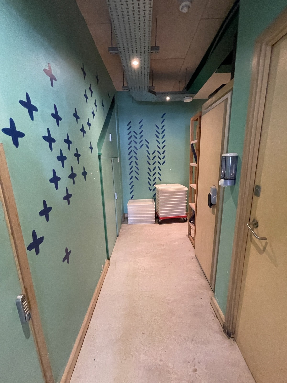From door facing straight. Path down centre to toilet at back right. Non accessible toilet on right.