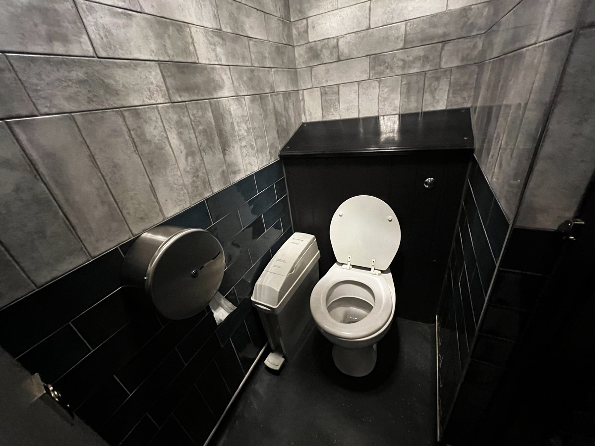 From door, facing straight. Toilet ahead.