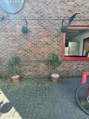 Path ahead to planters at back.