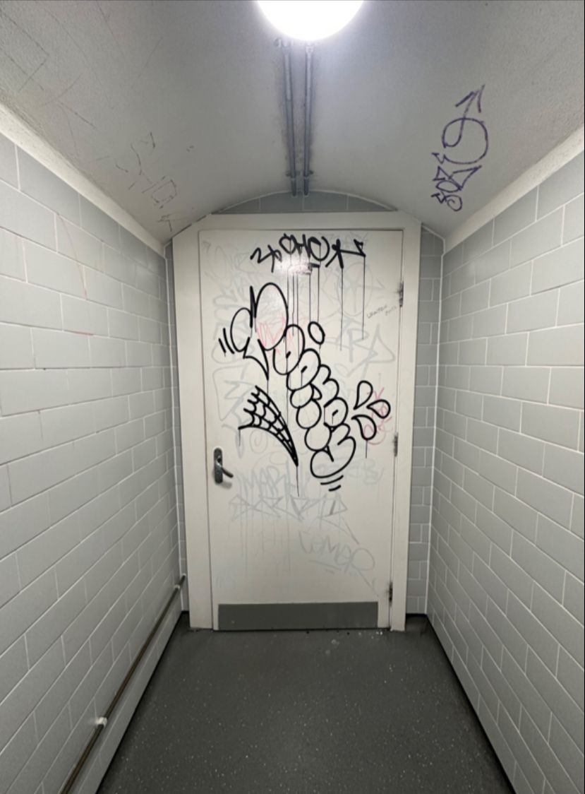 From end of path facing straight. White toilet door ahead. Pull silver handle on left to open.
