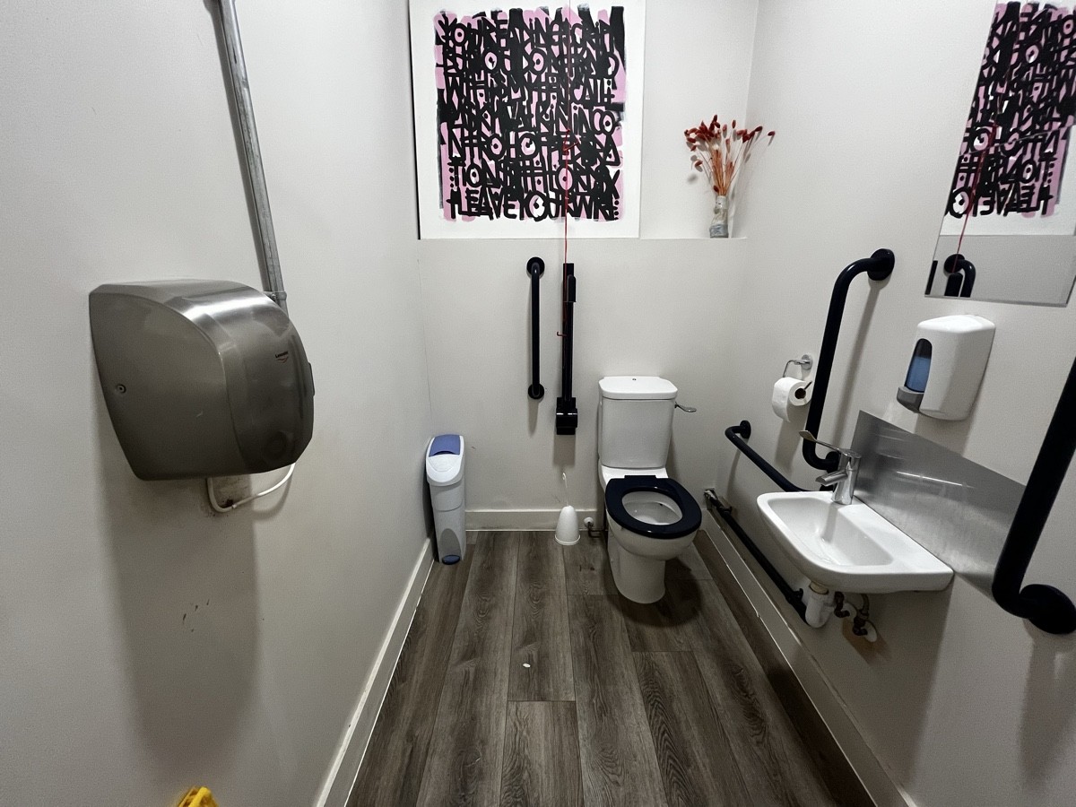 From door facing straight. Sink on right. Toilet back right it. Emergency pull cord to its left.