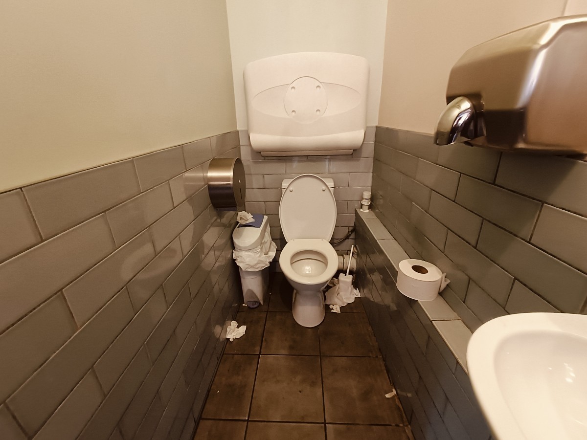 From doorway, facing straight. Sink on right. Toilet at back.