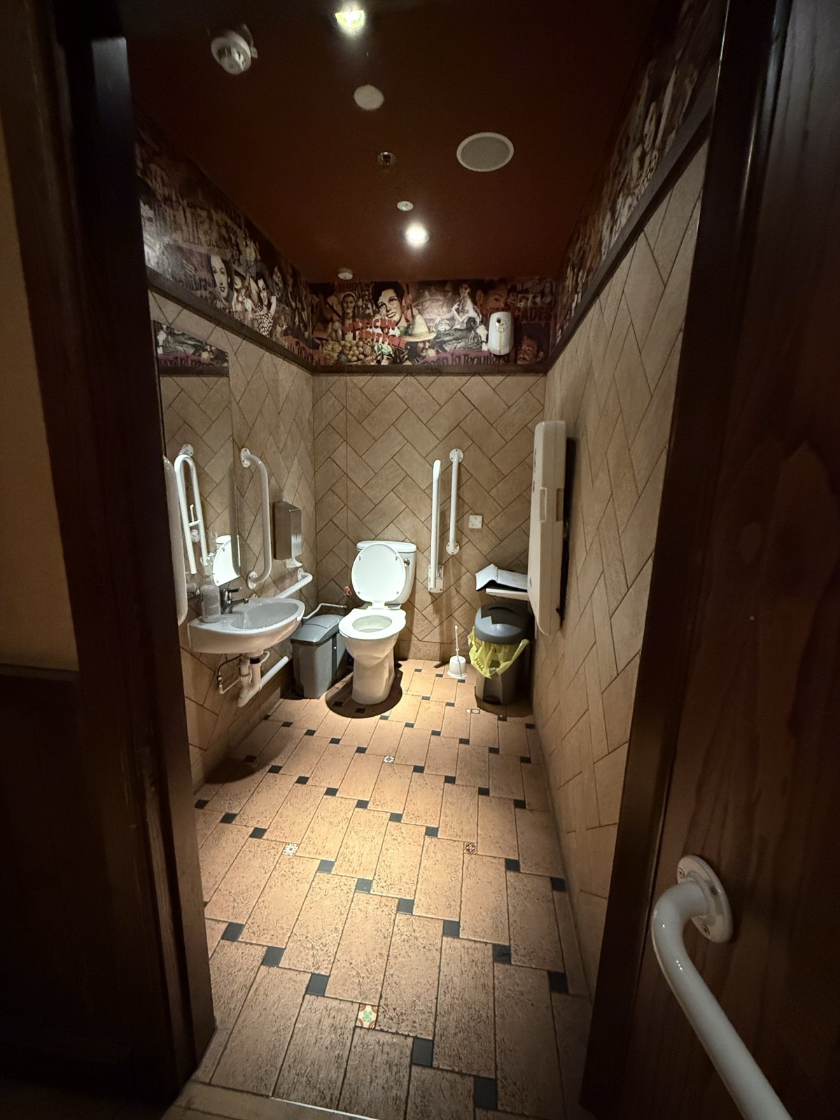 Open toilets with grab handles and lower sink. Red cord is high.