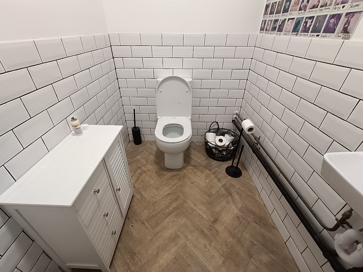 From doorway, facing straight. Shelf on left. Toilet at back. Sink on right.