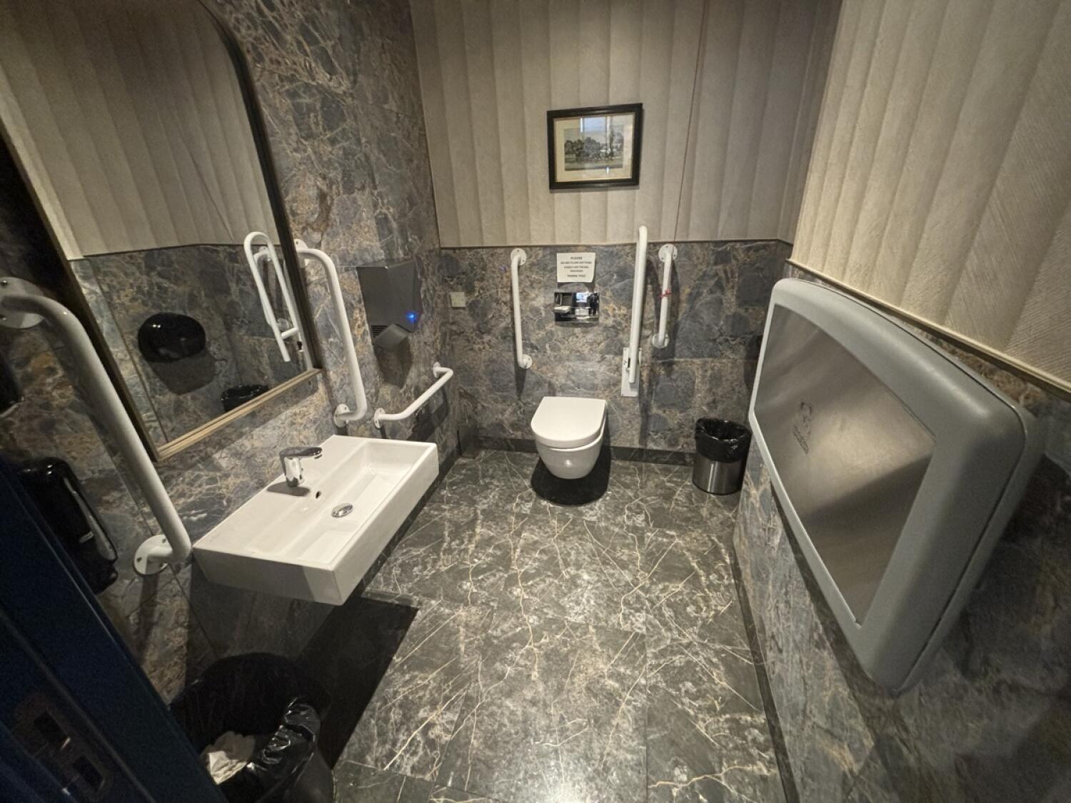 From door facing straight. Sink on left. Toilet along back, emergency pull cord to its right. Baby change on right wall.
