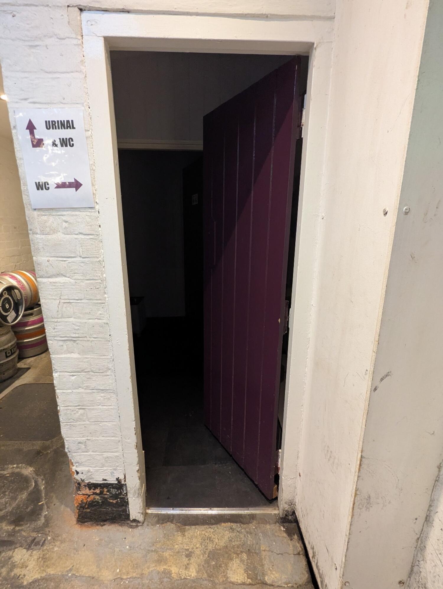 From door looking ahead. Purple door ahead. Push on left to open. Small bump on doorway.