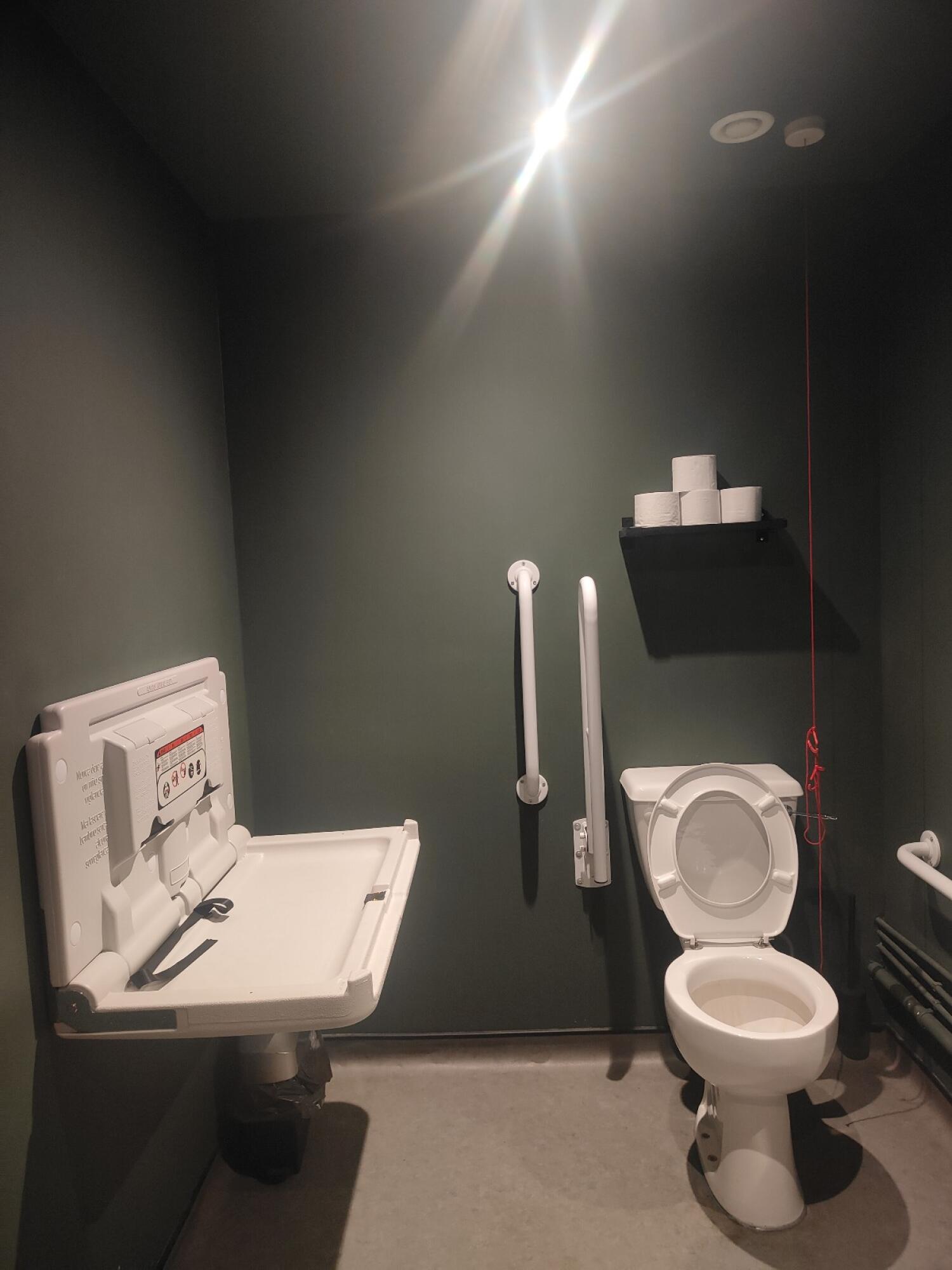 From entrance facing straight. Baby changing station on left. Toilet at back right. Emergency pull cord to its right.
