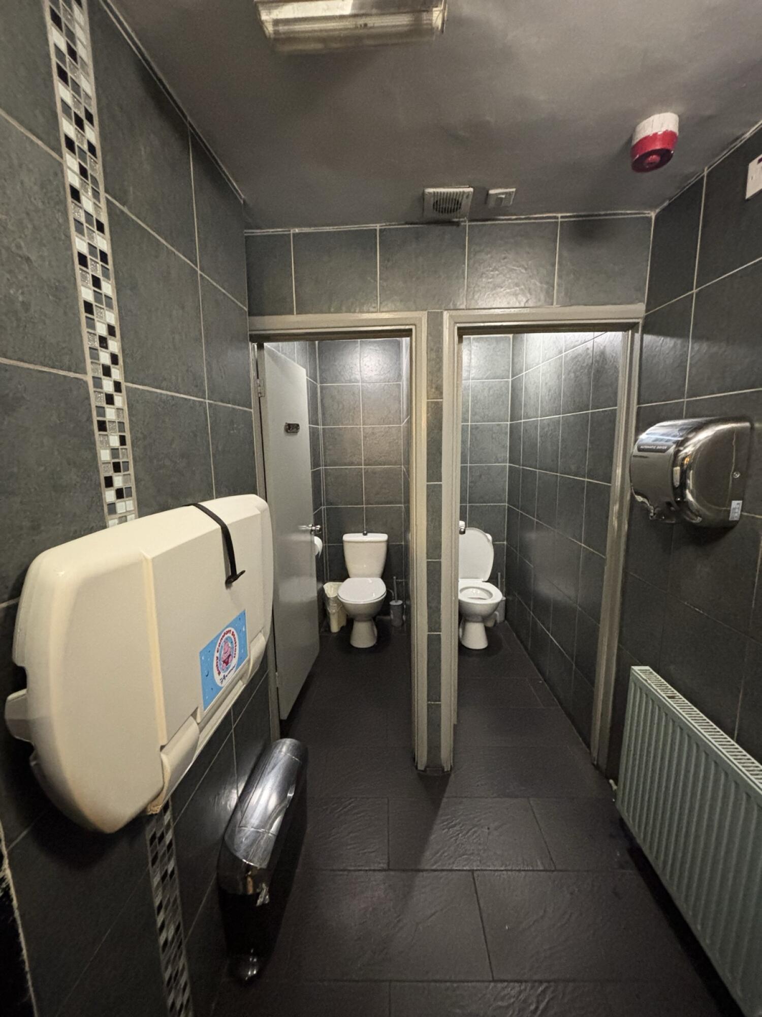 From preceding door facing straight. Baby change on left. Two cubicle doors on back.