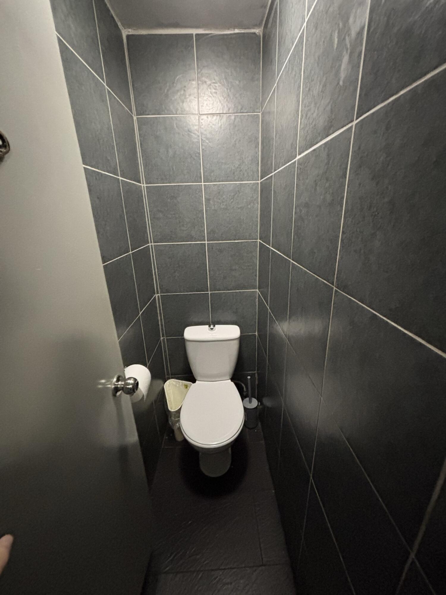 From door facing straight. Toilet ahead.