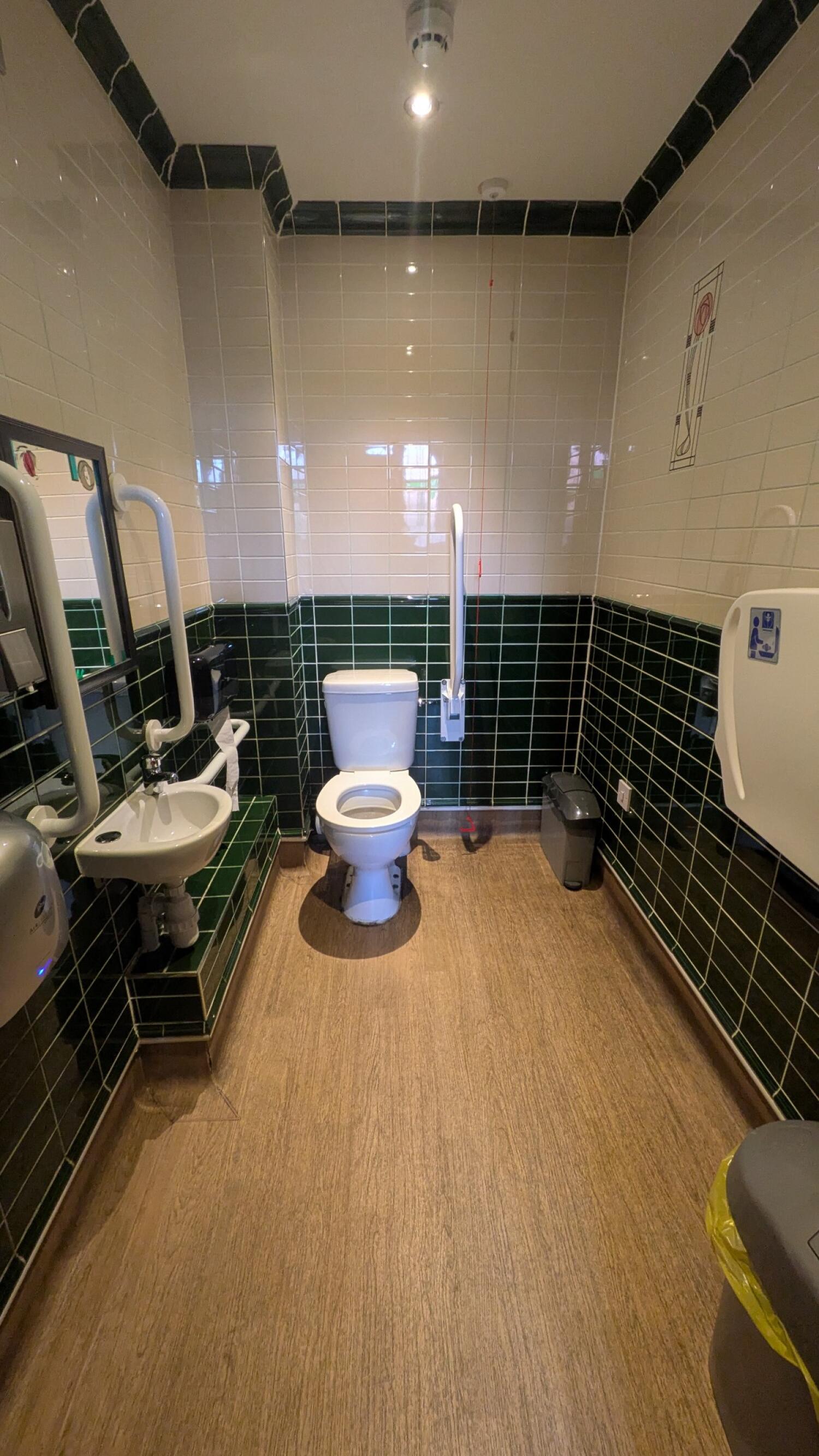 From door facing straight. Sink on right. Toilet on back. Emergency pull cord to its right. Baby change table on right