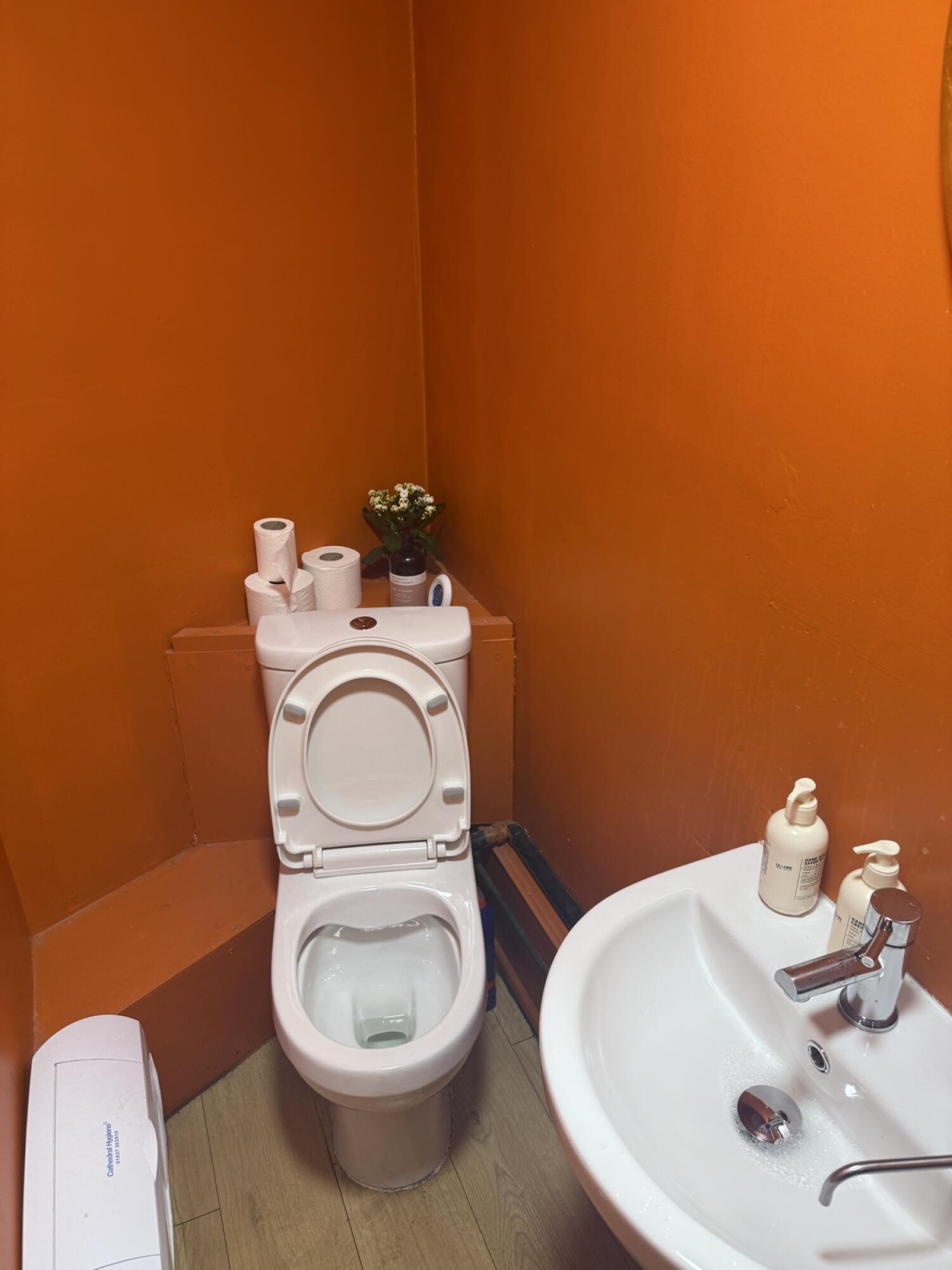 Toilet at centre with sink on right. Toilet roll stacked behind toilet. Hand soap bottles on sink.