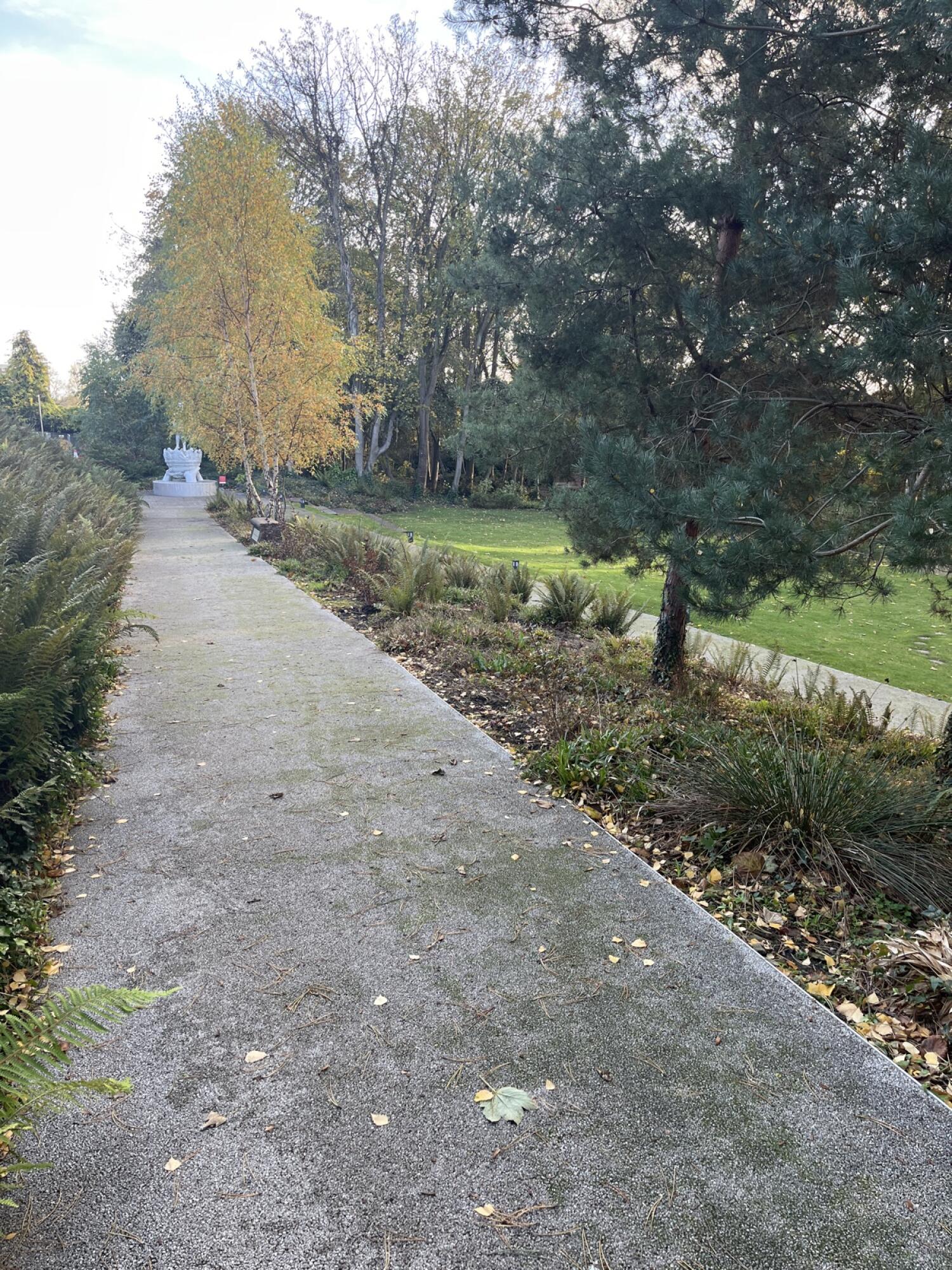 From start of path facing straight. Path lined with plants on both sides. White sculpture visible at end of path. Trees and grass to right.