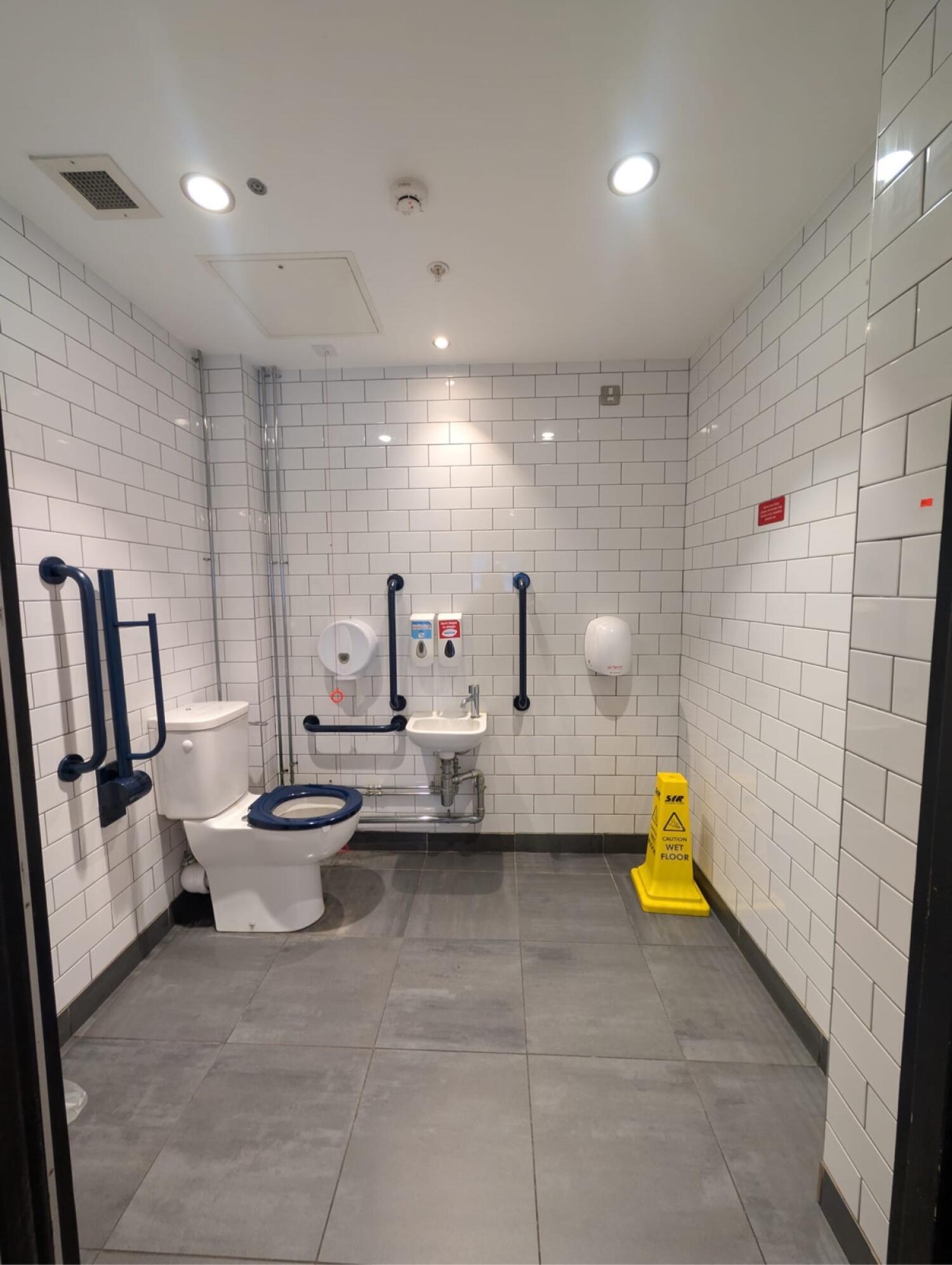 From door facing straight. Toilet on left wall. Pull-chord in front. Sink at back left.