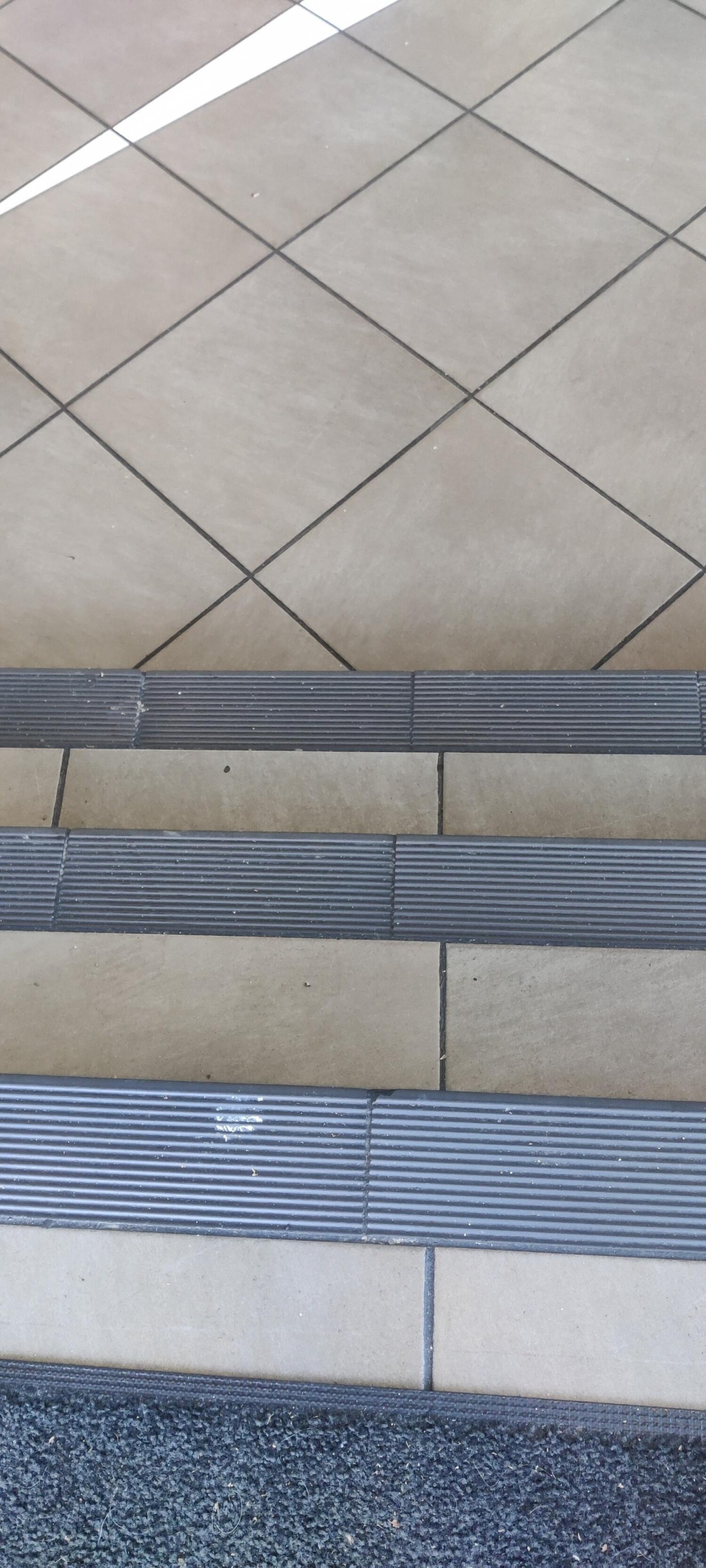 From entrance facing straight. 3 regular down steps ahead. Brown wooden handrail along both sides.