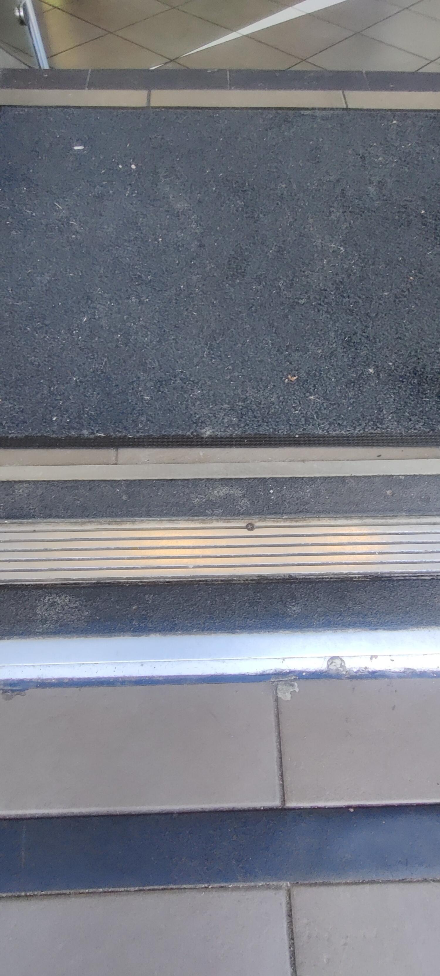 Small metal bump ahead. Doormat beyond.