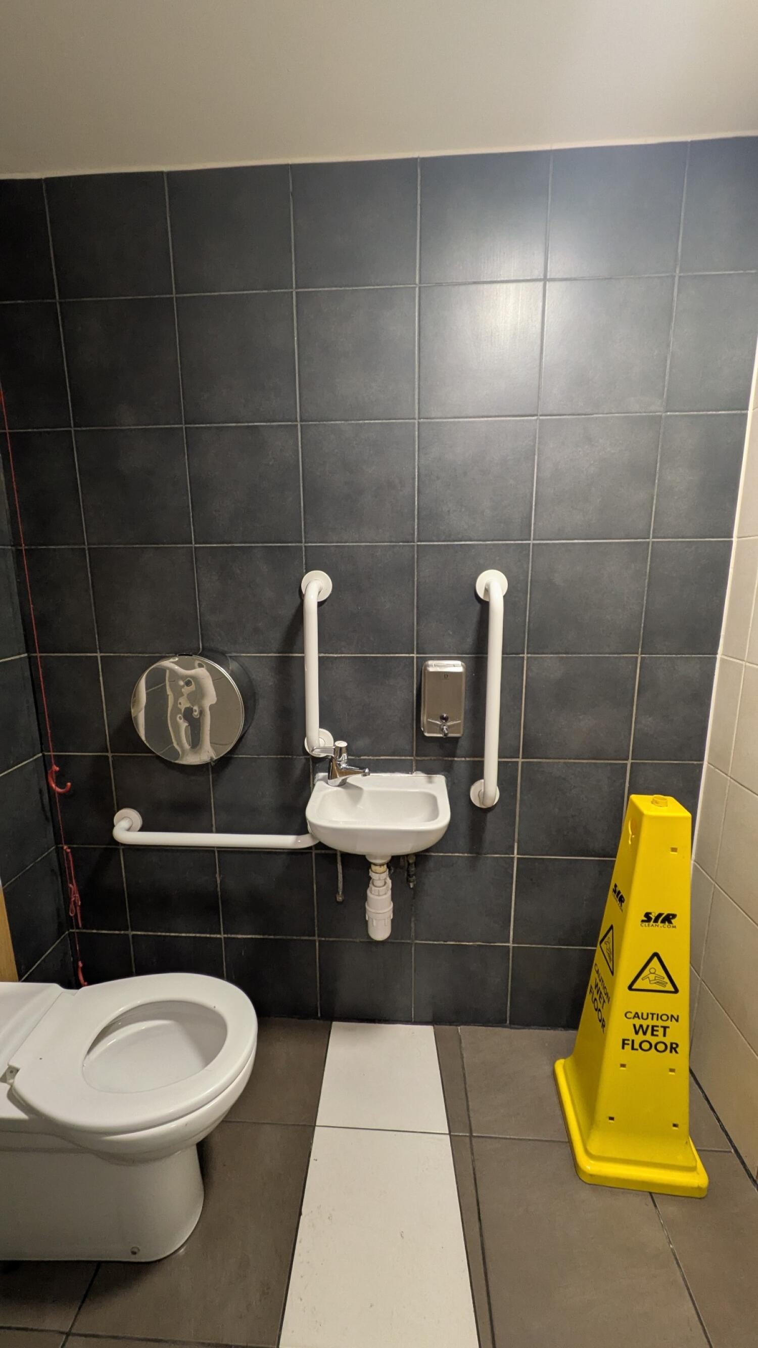 From second door facing straight. Toilet at back left. Emergency pull cord to its right. Sink in centre.