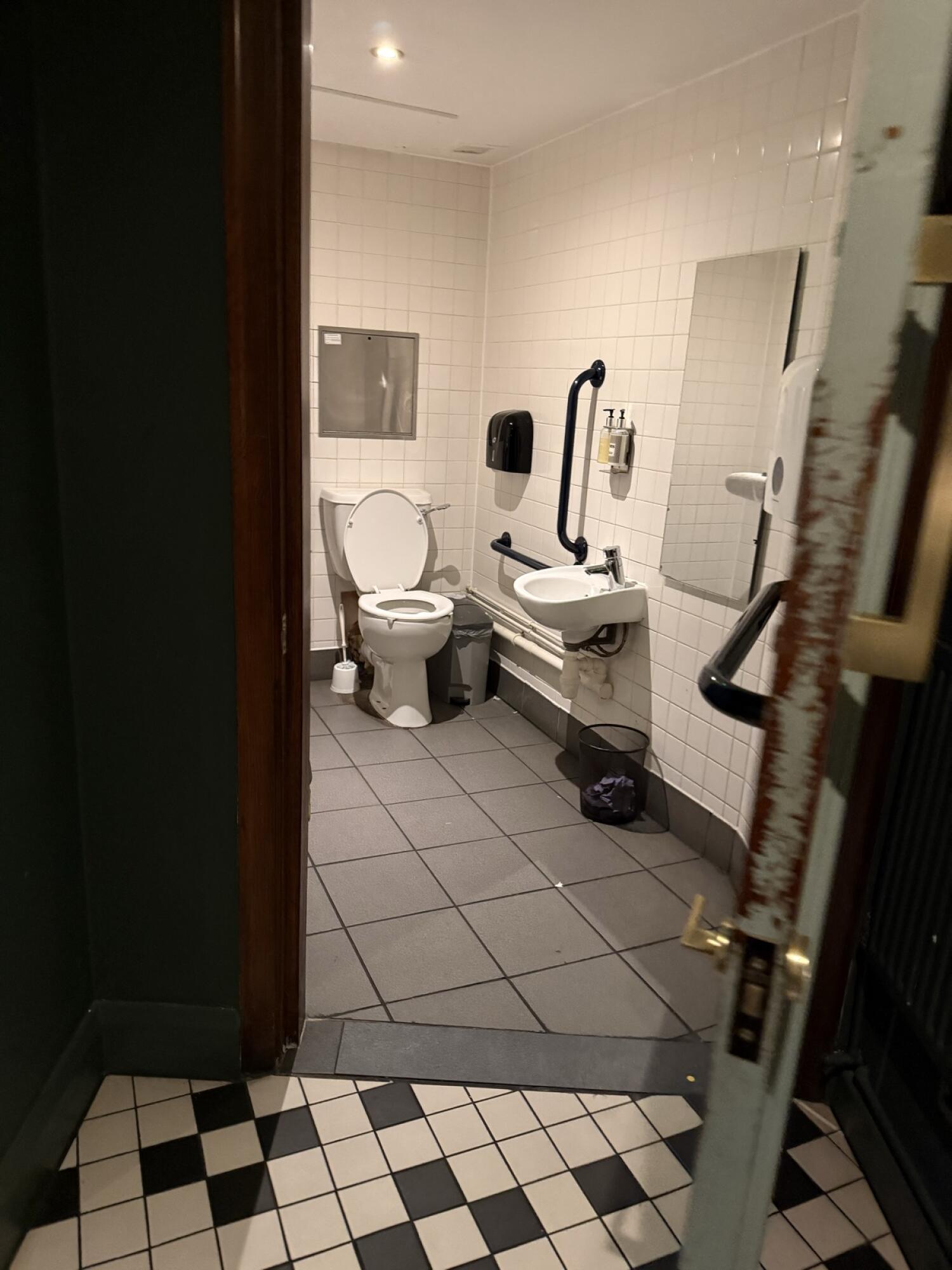 Toilet at back wall. Sink on right wall.