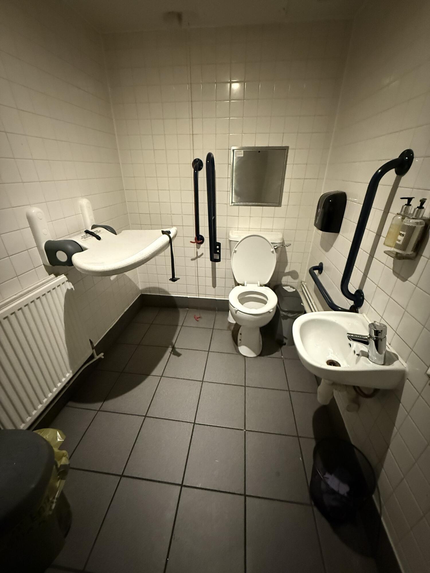 Baby changing station left. Toilet at back wall. Emergency pull cord to its left. Sink on right wall.