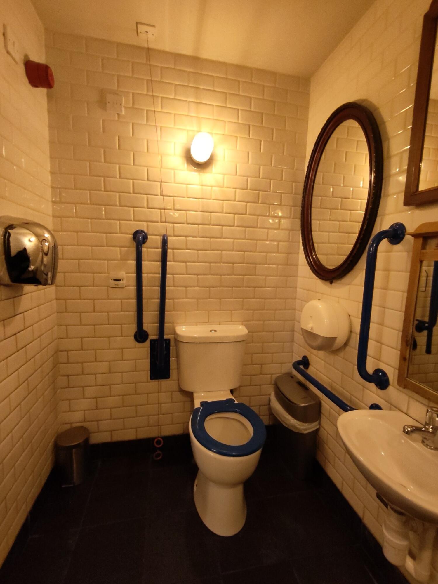 From doorway facing left. Toilet ahead. Emergency pull cord to its left. Sink on right.