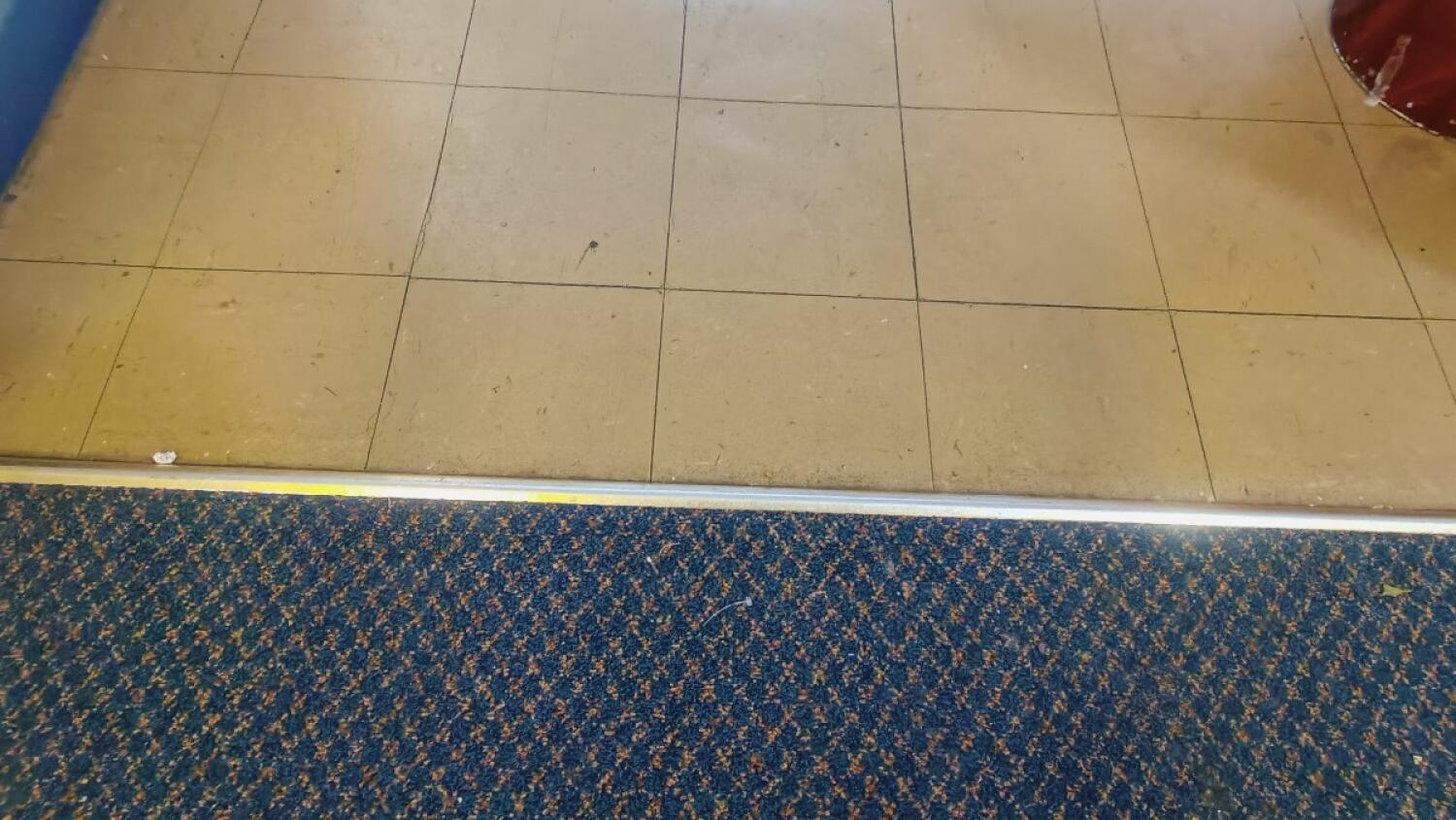 Small metal bump at foot of doorway.