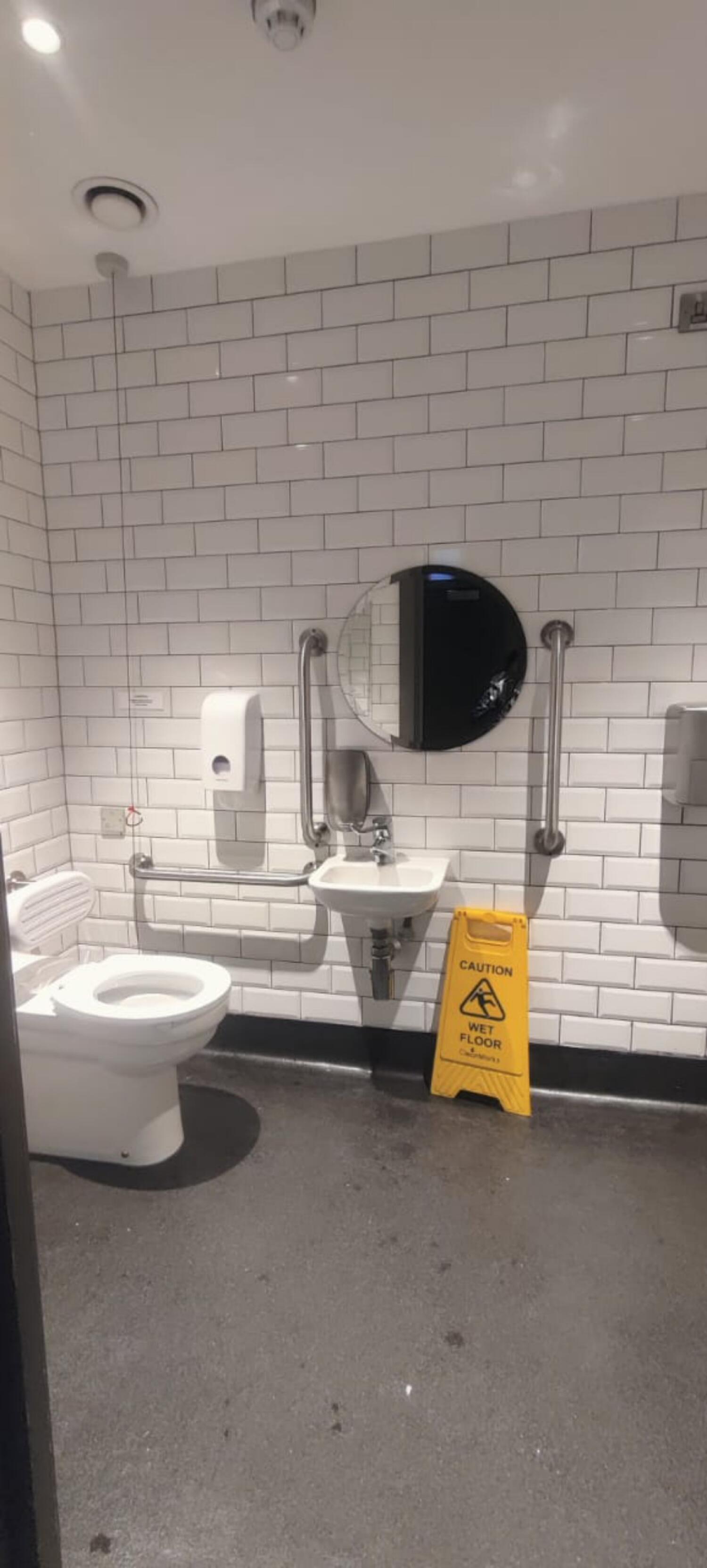 From door facing straight. Toilet at left. Pull cord at back left. Sink and mirror with grab rails along center.