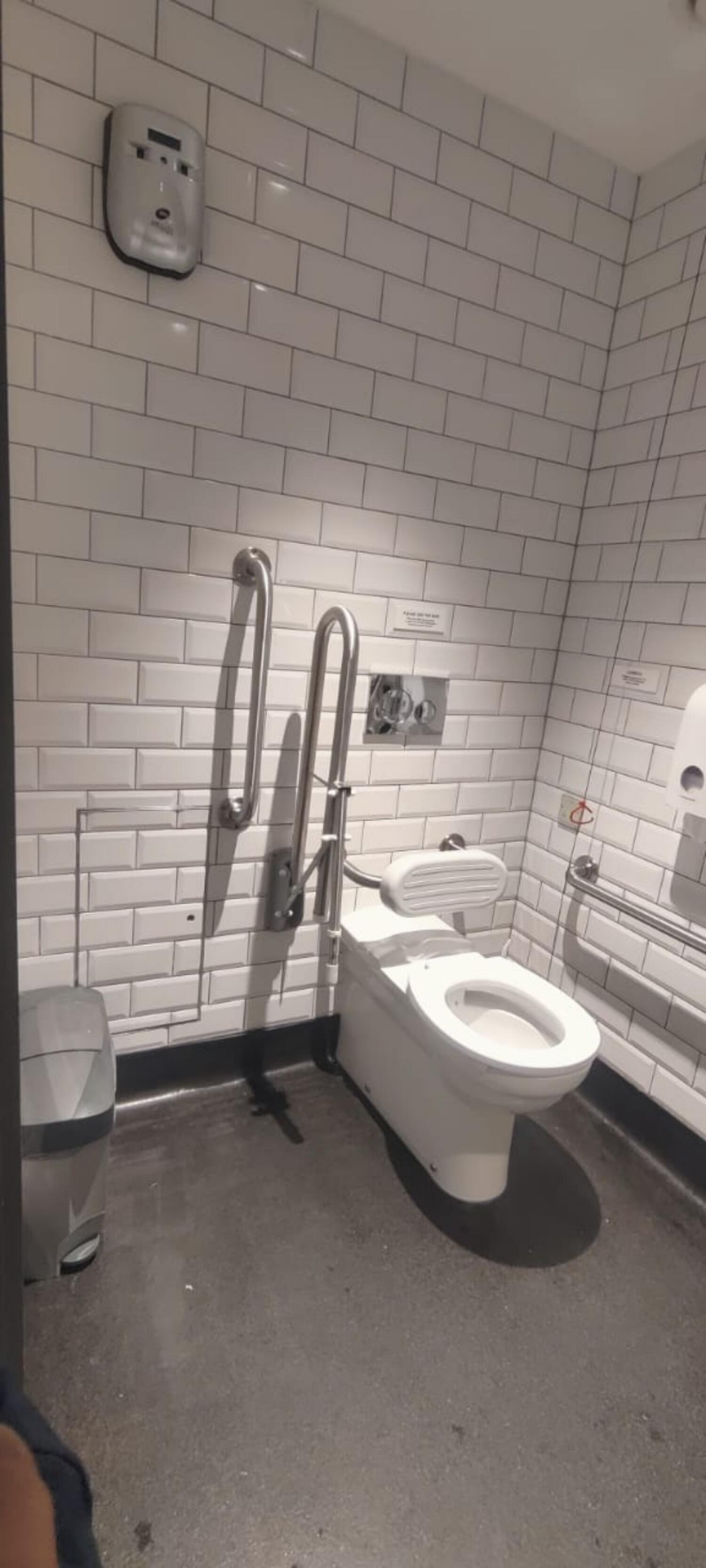 From door facing left. Toilet ahead.