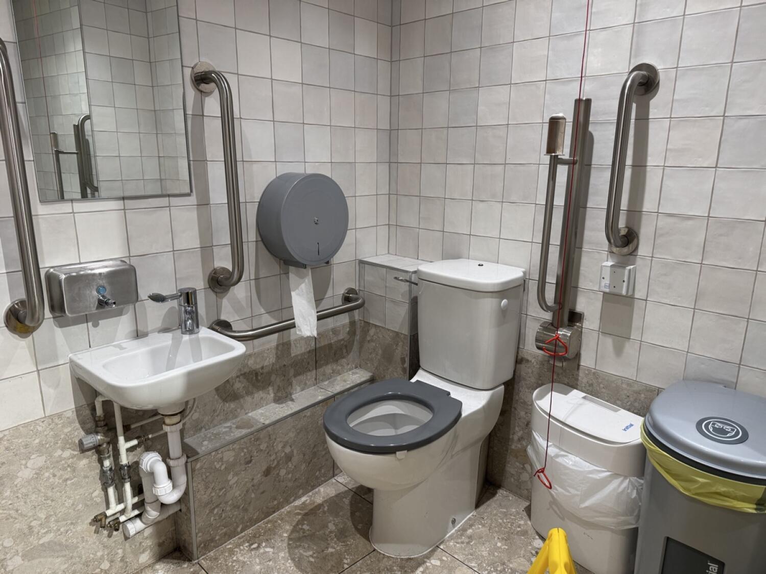Sink on left wall. Toilet at back wall. Emergency pull cord to its right.