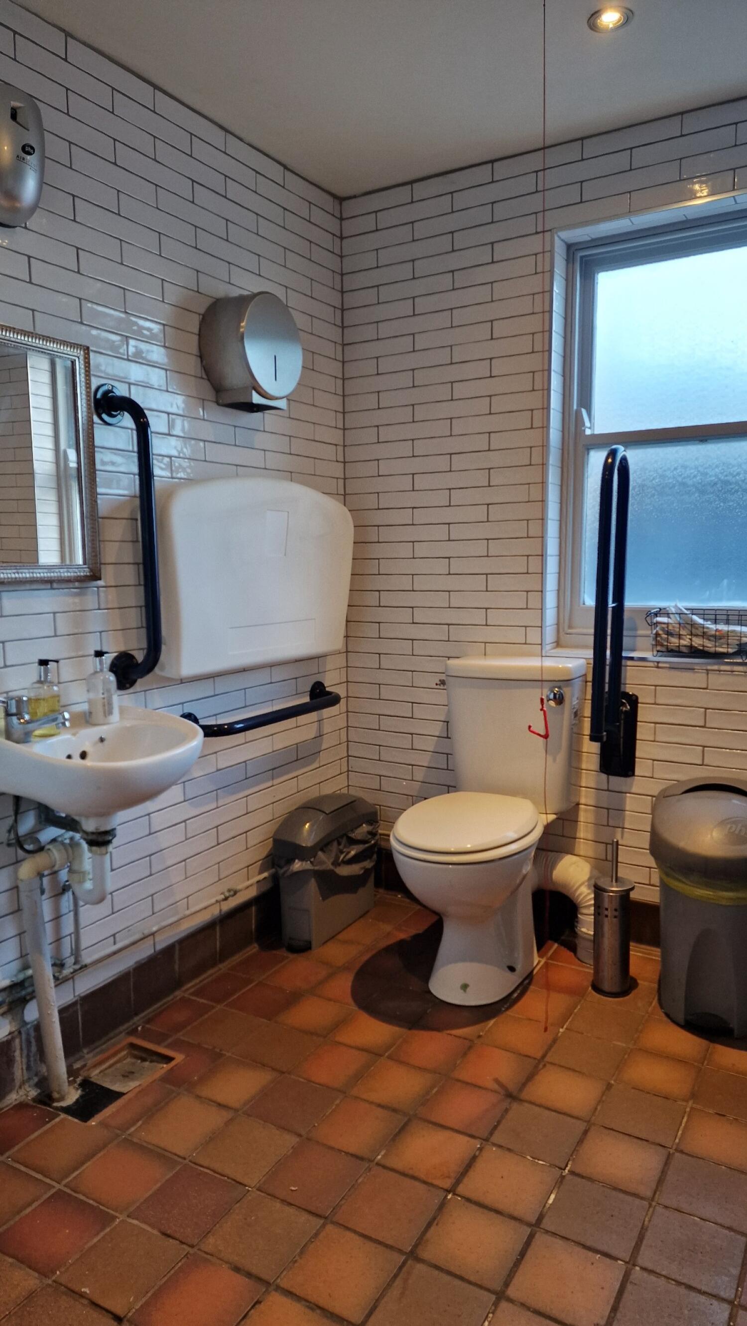 Baby changing station right. Toilet at back wall. Emergency pull cord to its right. Sink on left wall.