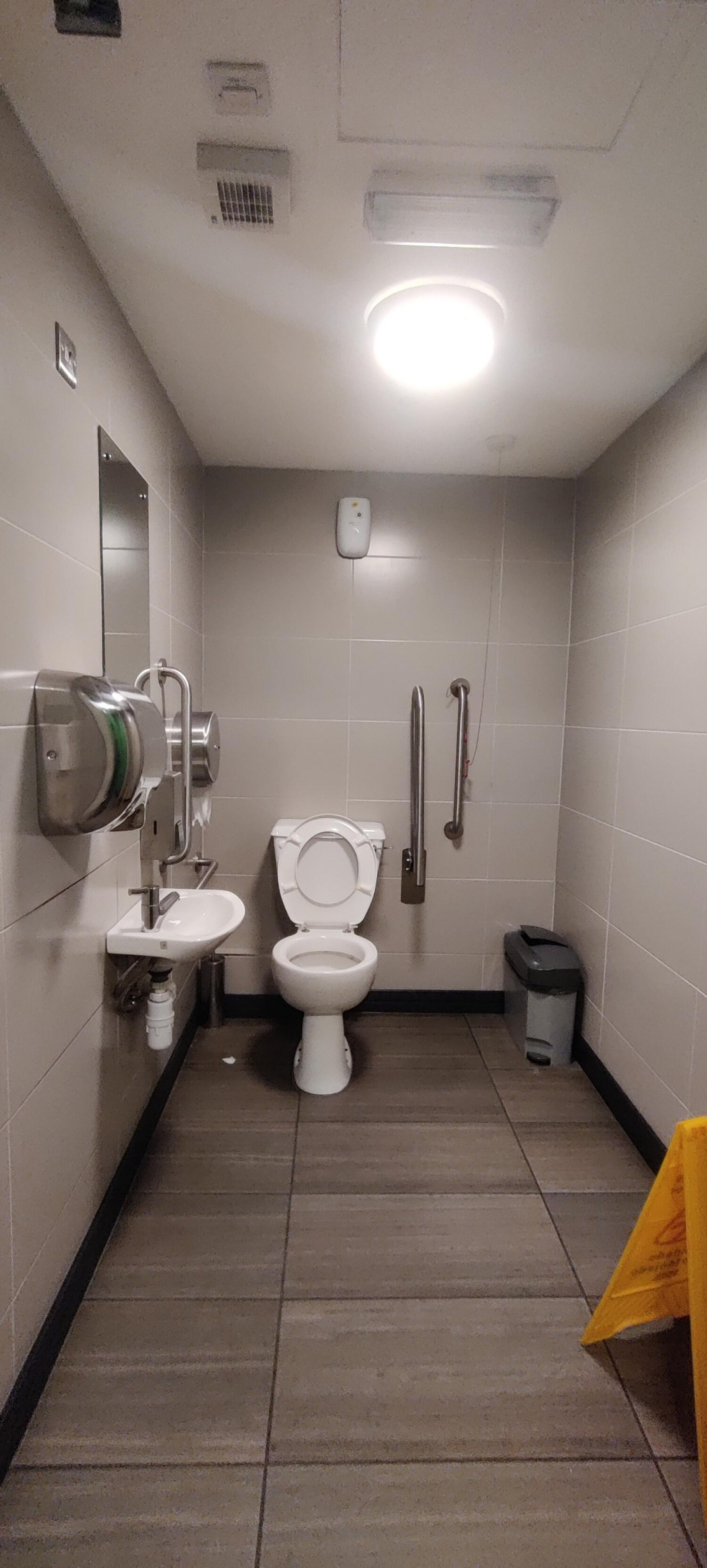 From door facing straight. Sink on the left. Toilet on the back left. Grab rails on back center. Pull cord on right.