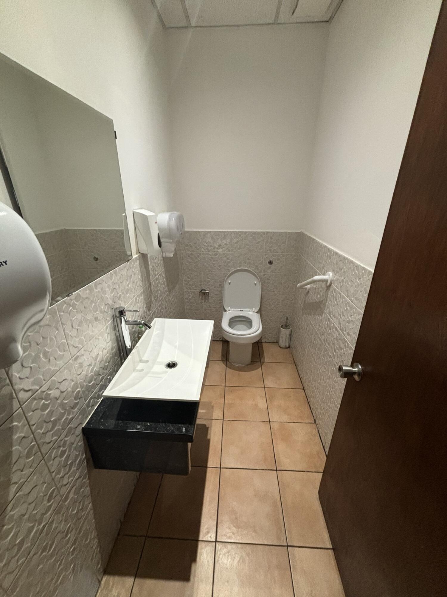 Form door facing straight. Sink on left. Toilet at back.