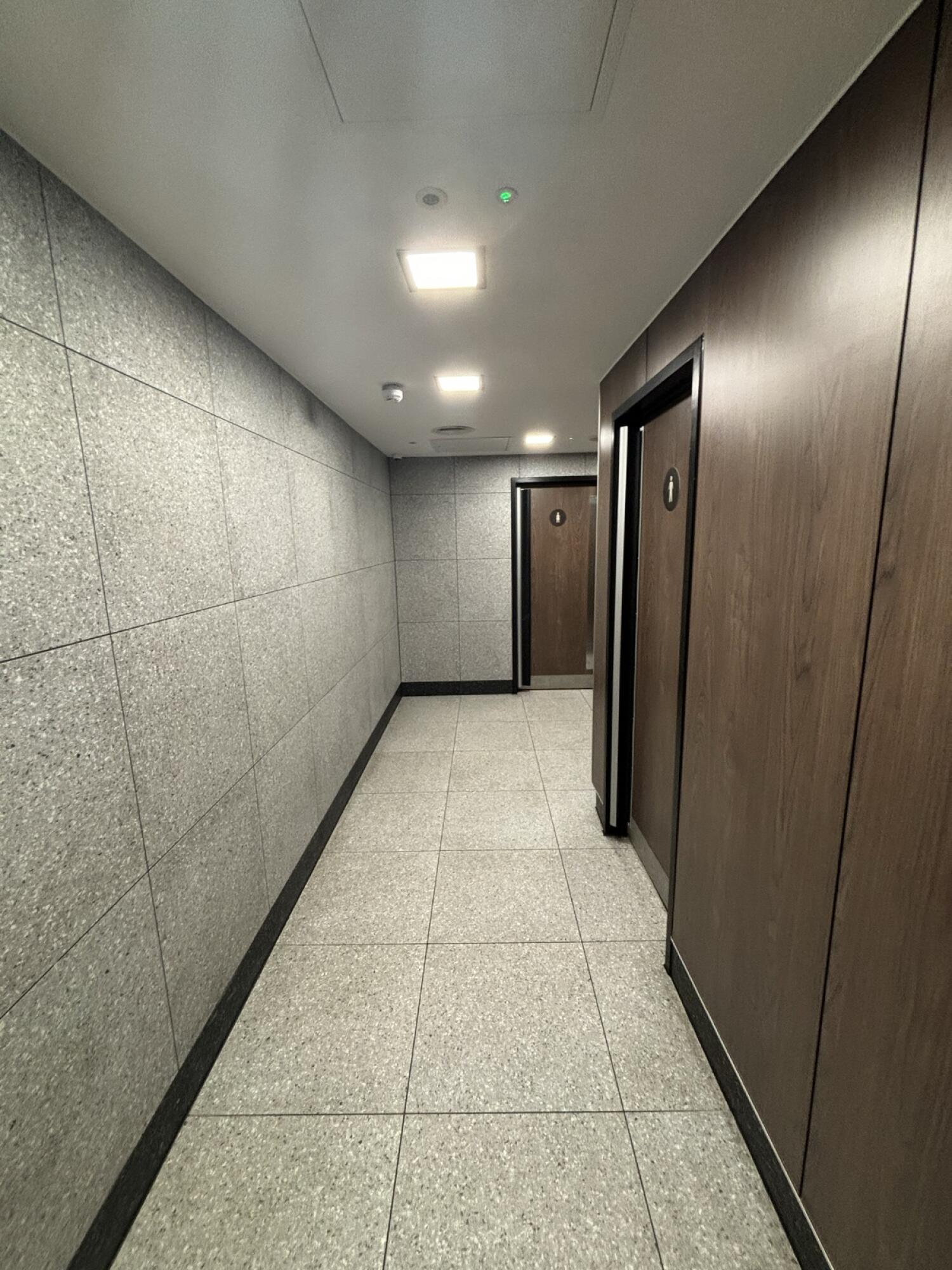From door facing straight. Path ahead to toilet at back right.