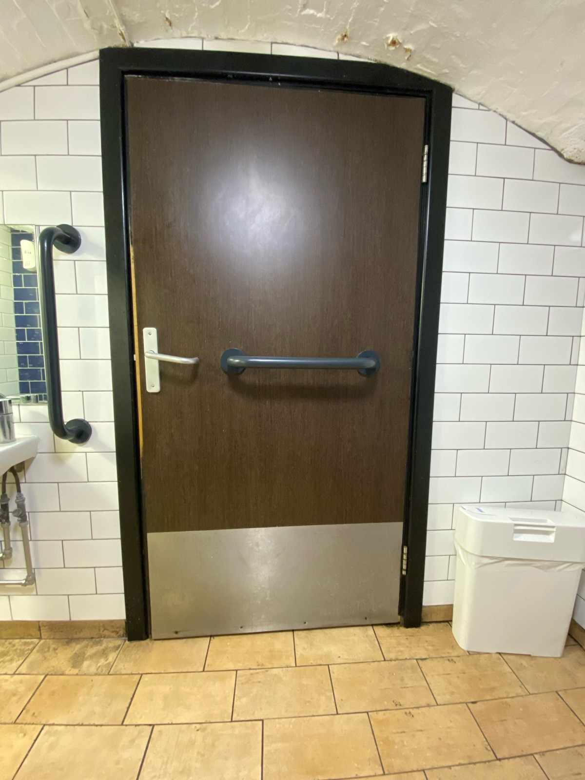 Back of wooden bathroom door. Blue plastic grab rail in centre.