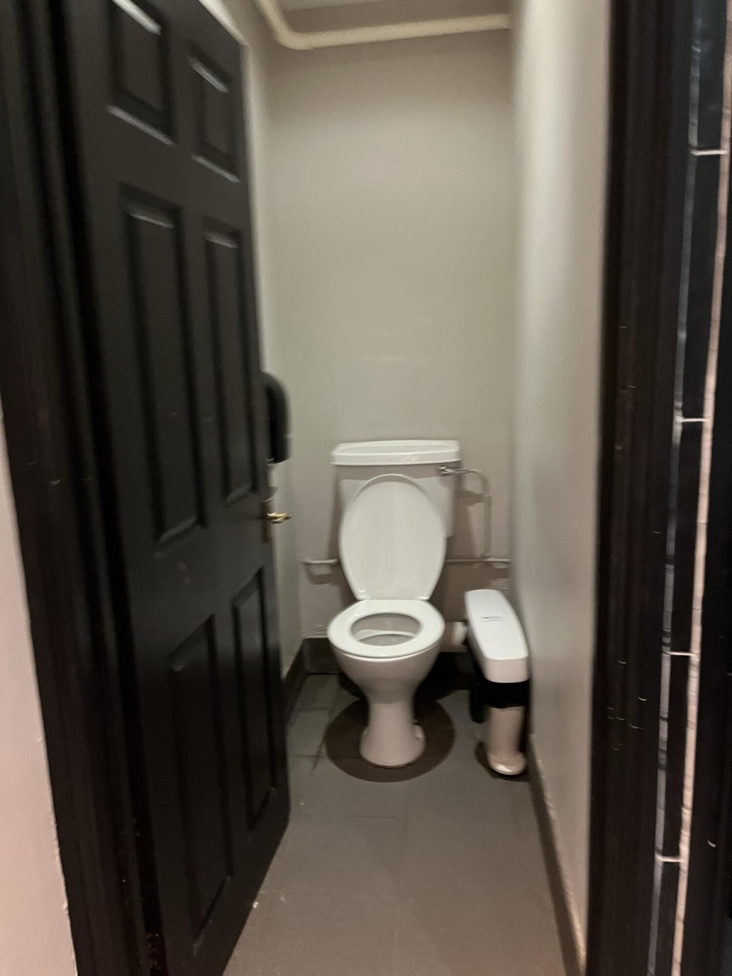 Toilet at back wall. Bin to its right.