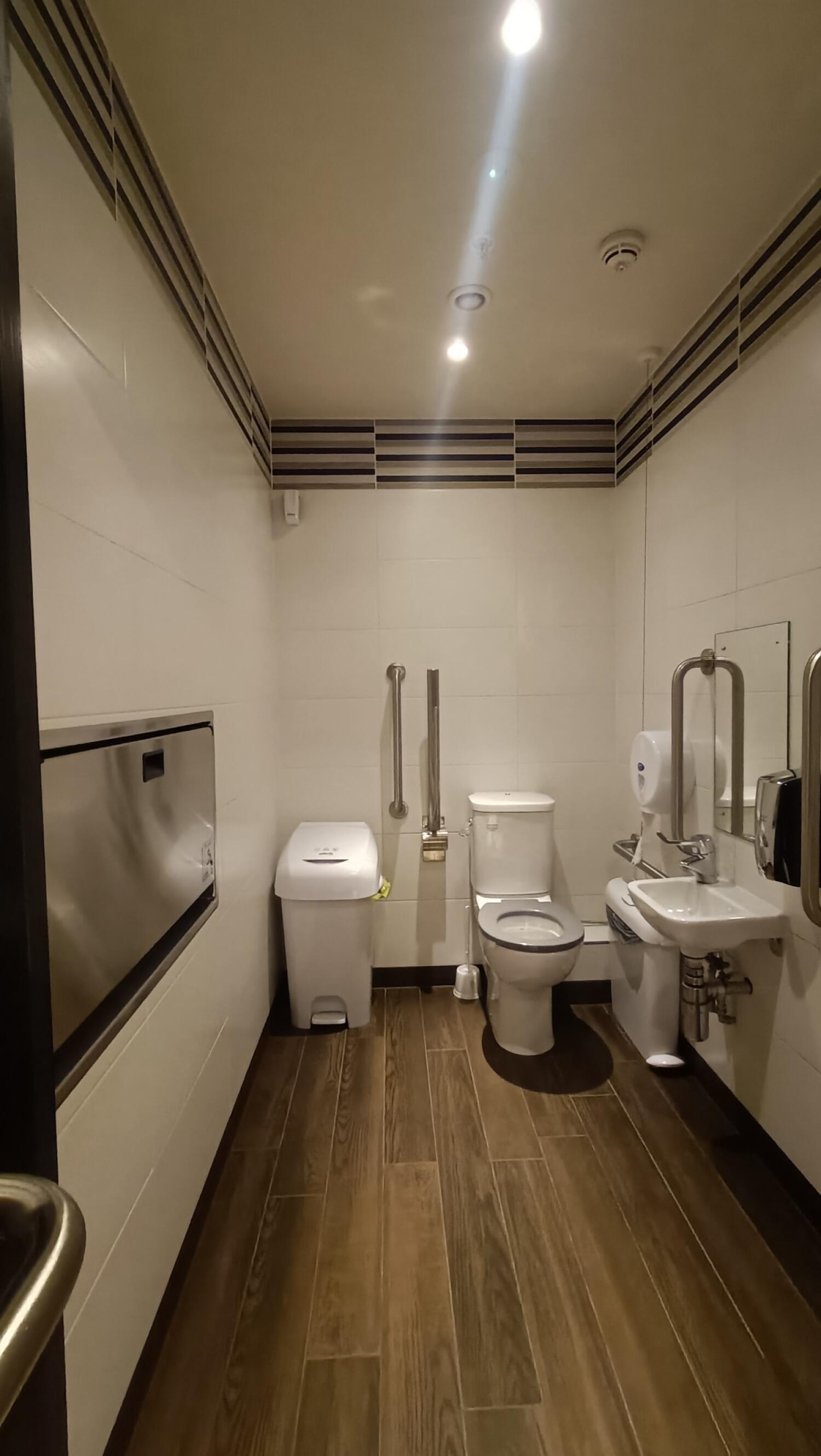 From door facing straight. Baby changing station on left wall. Toilet at back right. Emergency pull cord to its right. Sink on right wall.