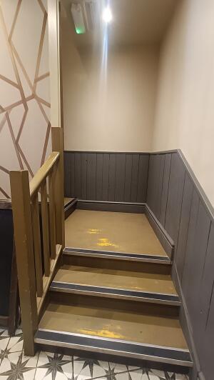 From back of main area facing left. Steps with landing ahead, leading up. Handrails along left.