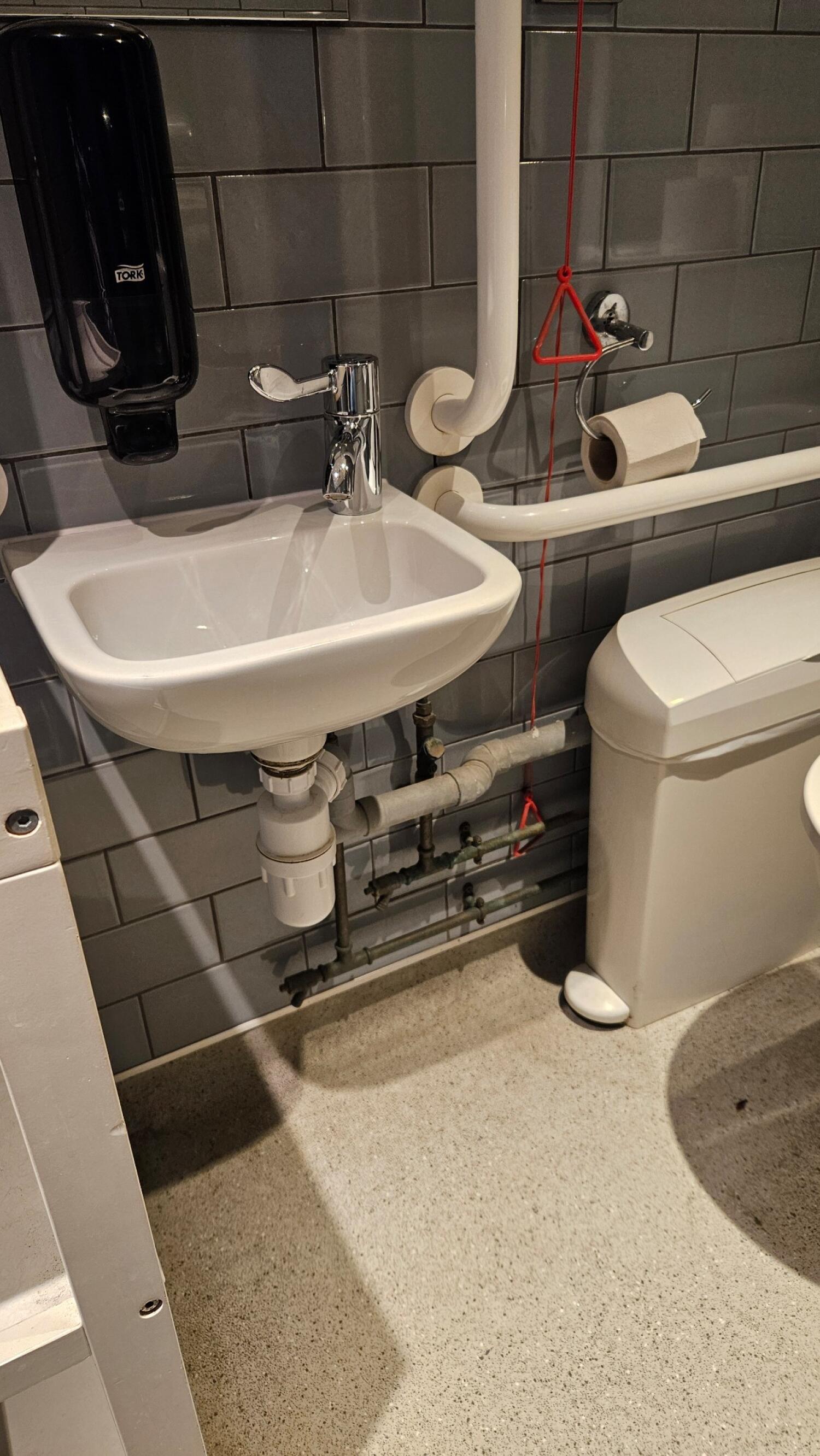 Sink on left wall. Toilet at back right. Emergency pull cord to its left.