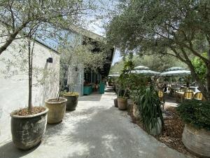 Path lined with large planters on left and right. Outdoor seating area with tables under parasols to right. Entrance with open archway ahead.
