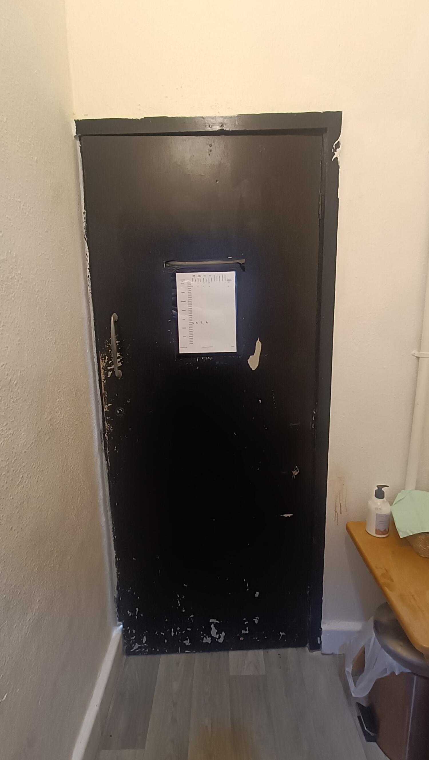 Back of common toilet door. Black wooden door. Pull from handle on left to open.