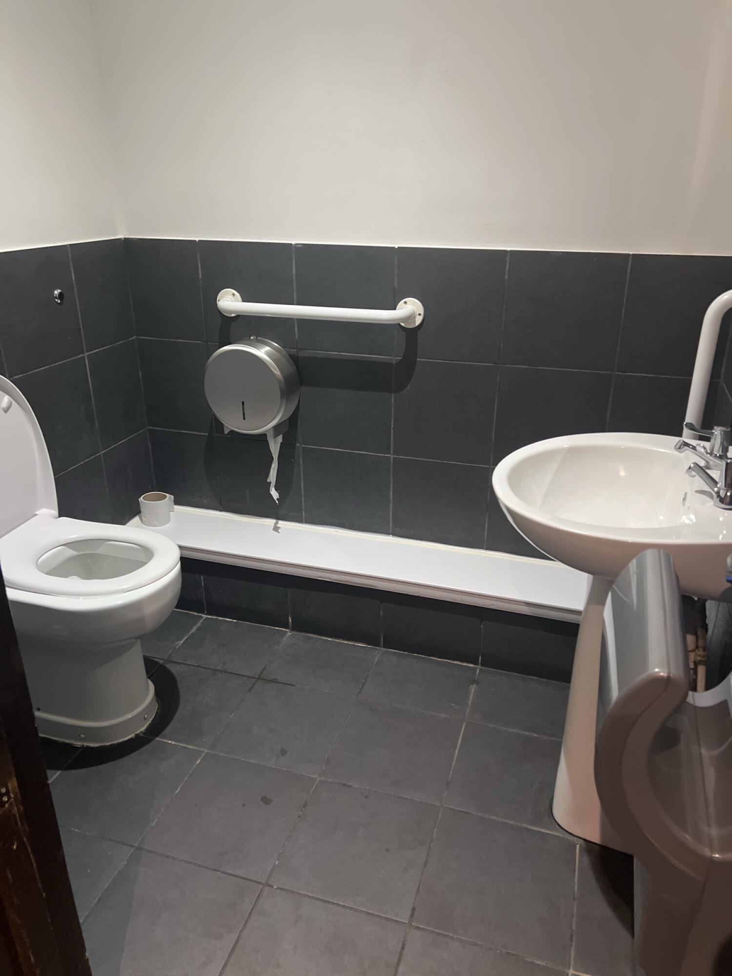 Wheelchair-accessible bathroom