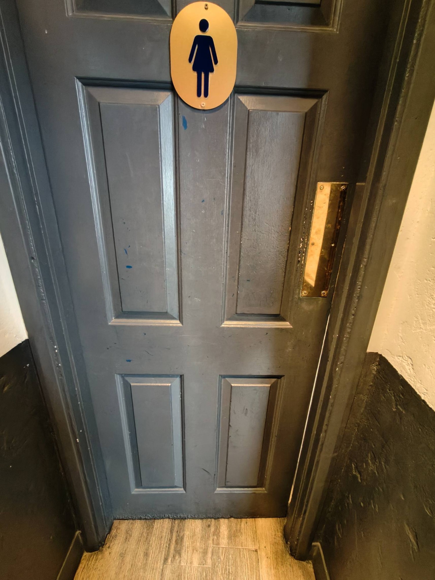From door facing right. Grey door to toilet area. Push golden metal panel on right to open.