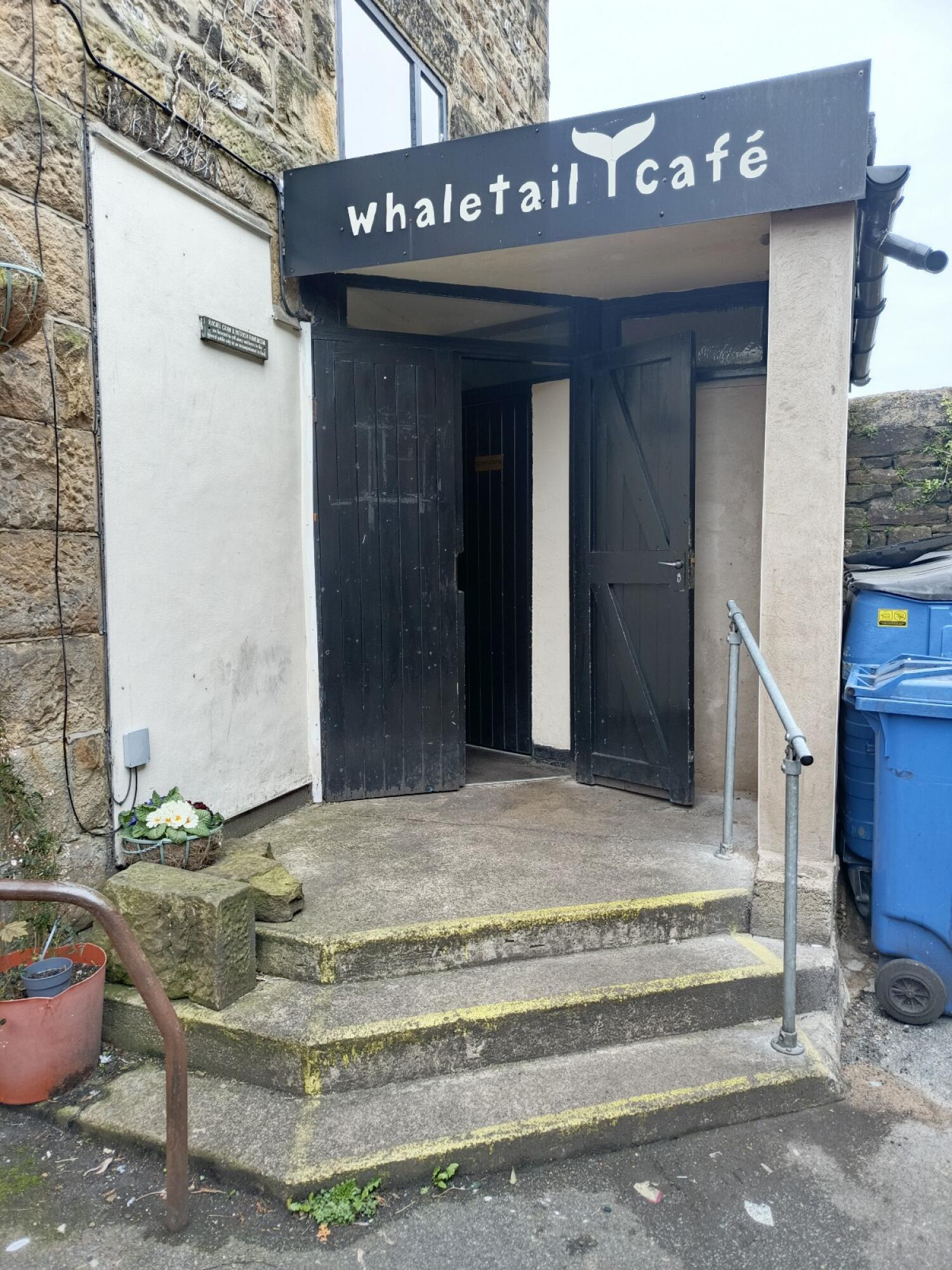 Whale Tail