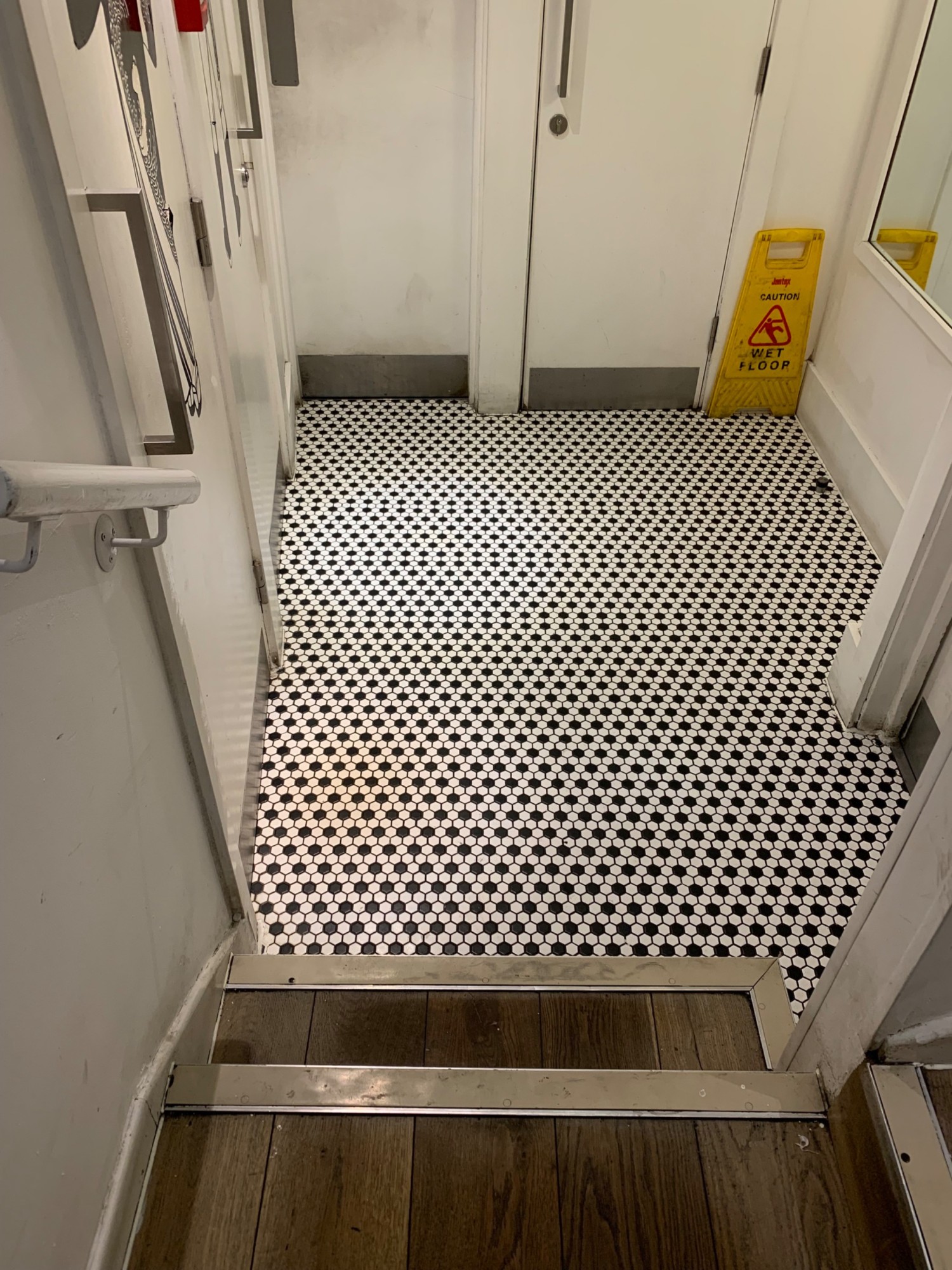 From landing, looking right. Two steps down ahead to toilet doors along left wall. Hand rail on left side.