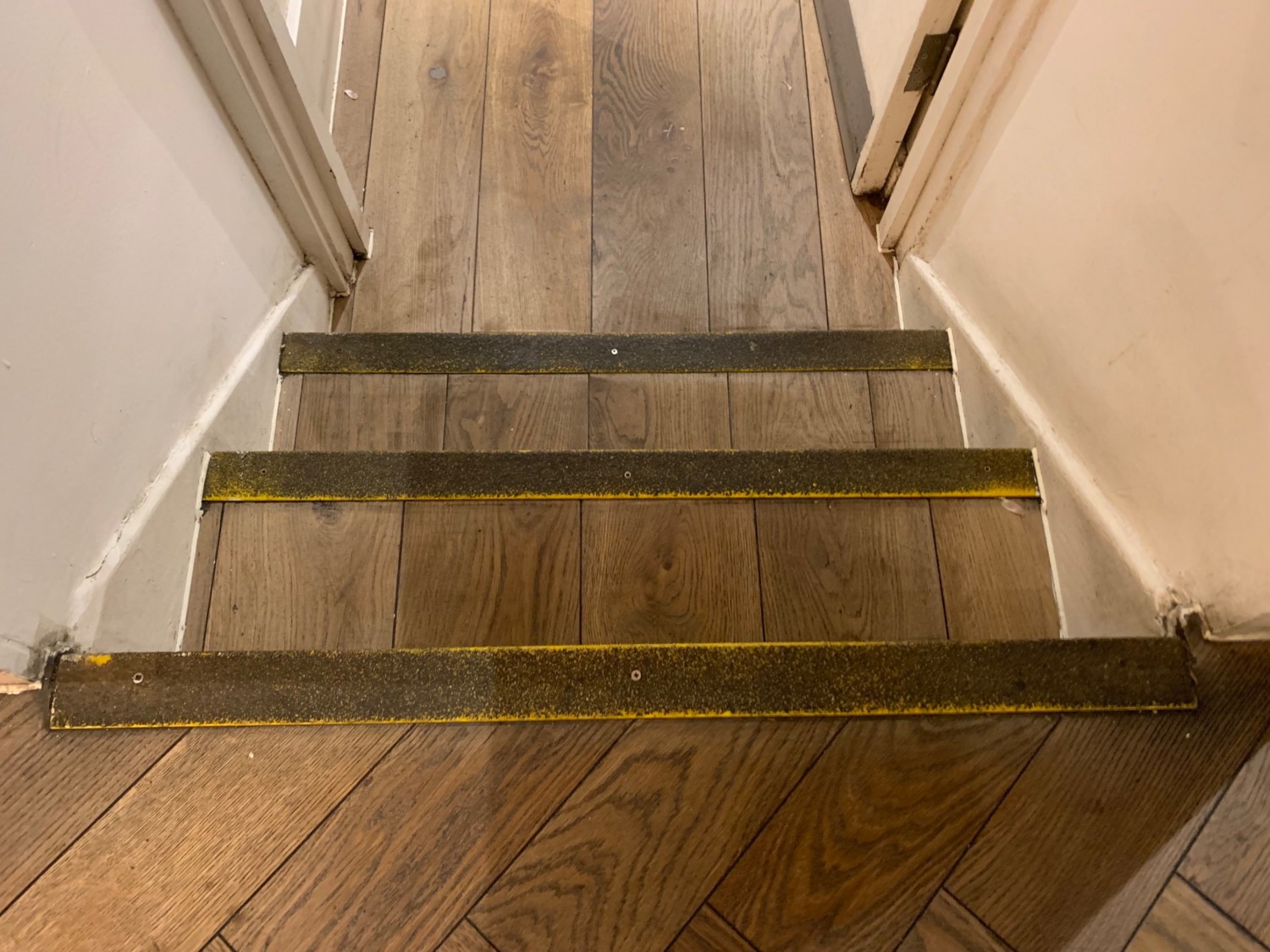 Three steps down to door to toilet area. Hand rail on right side.