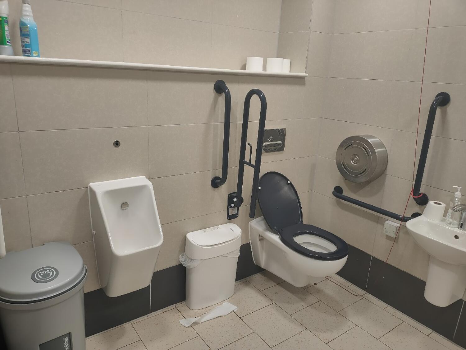 Wheelchair-accessible bathroom