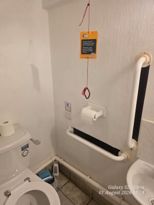 Toilet on left. Sink on right. Emergency pull cord on back wall.