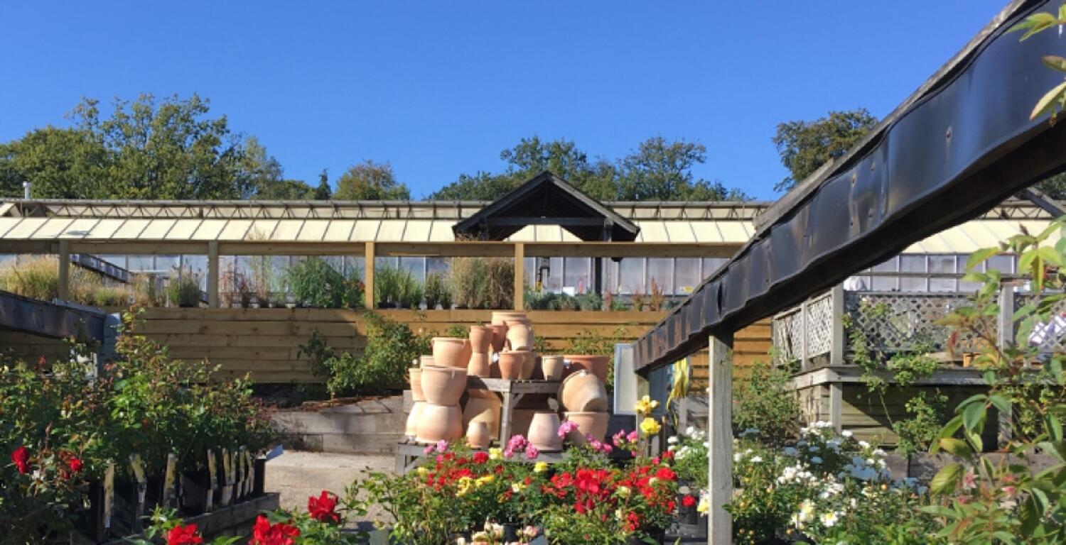 Outdoor – Back space