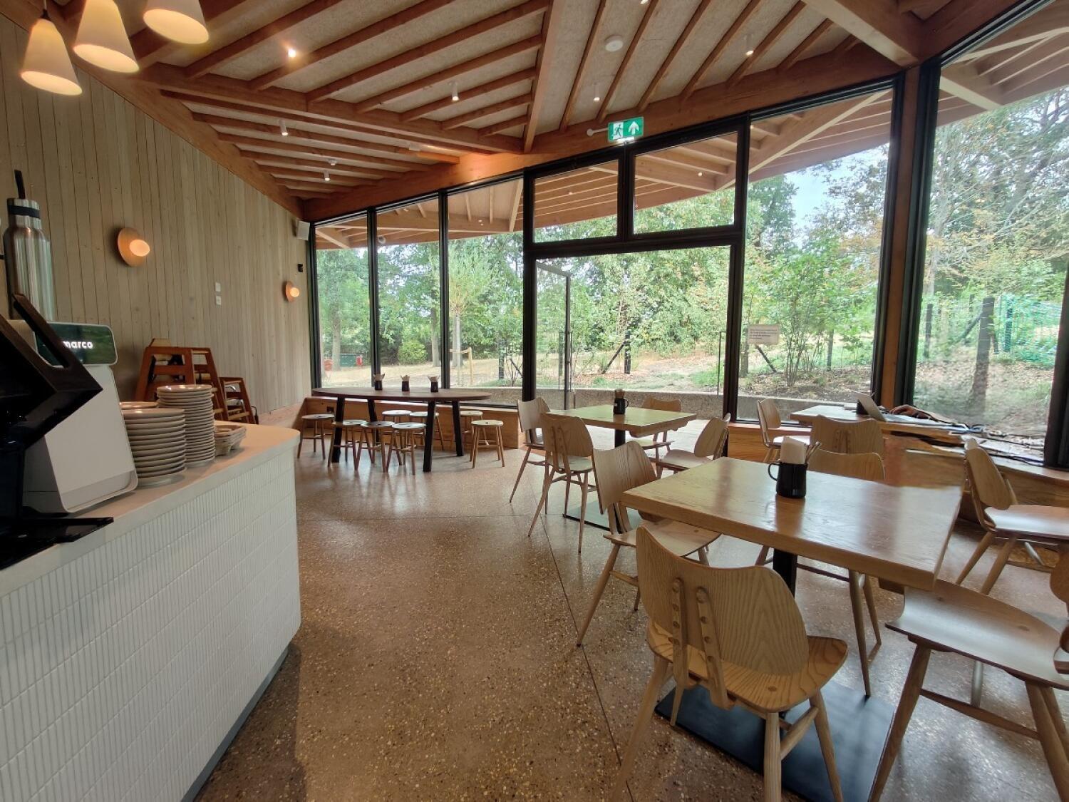 From end of counter facing straight. Counter along left. Tables and stool at back. Tables and chairs along right.