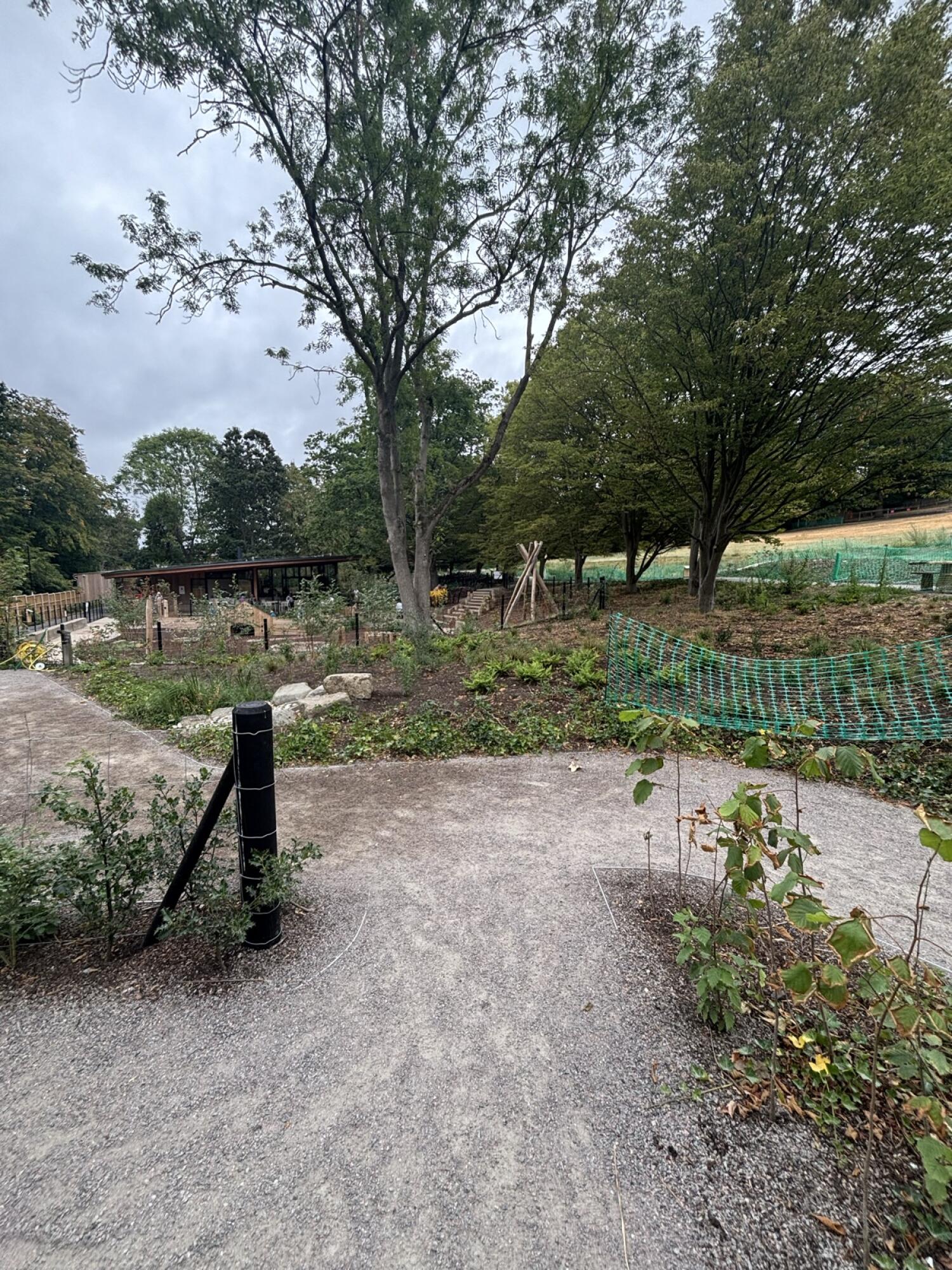 Gravel path through garden, branching left and right.